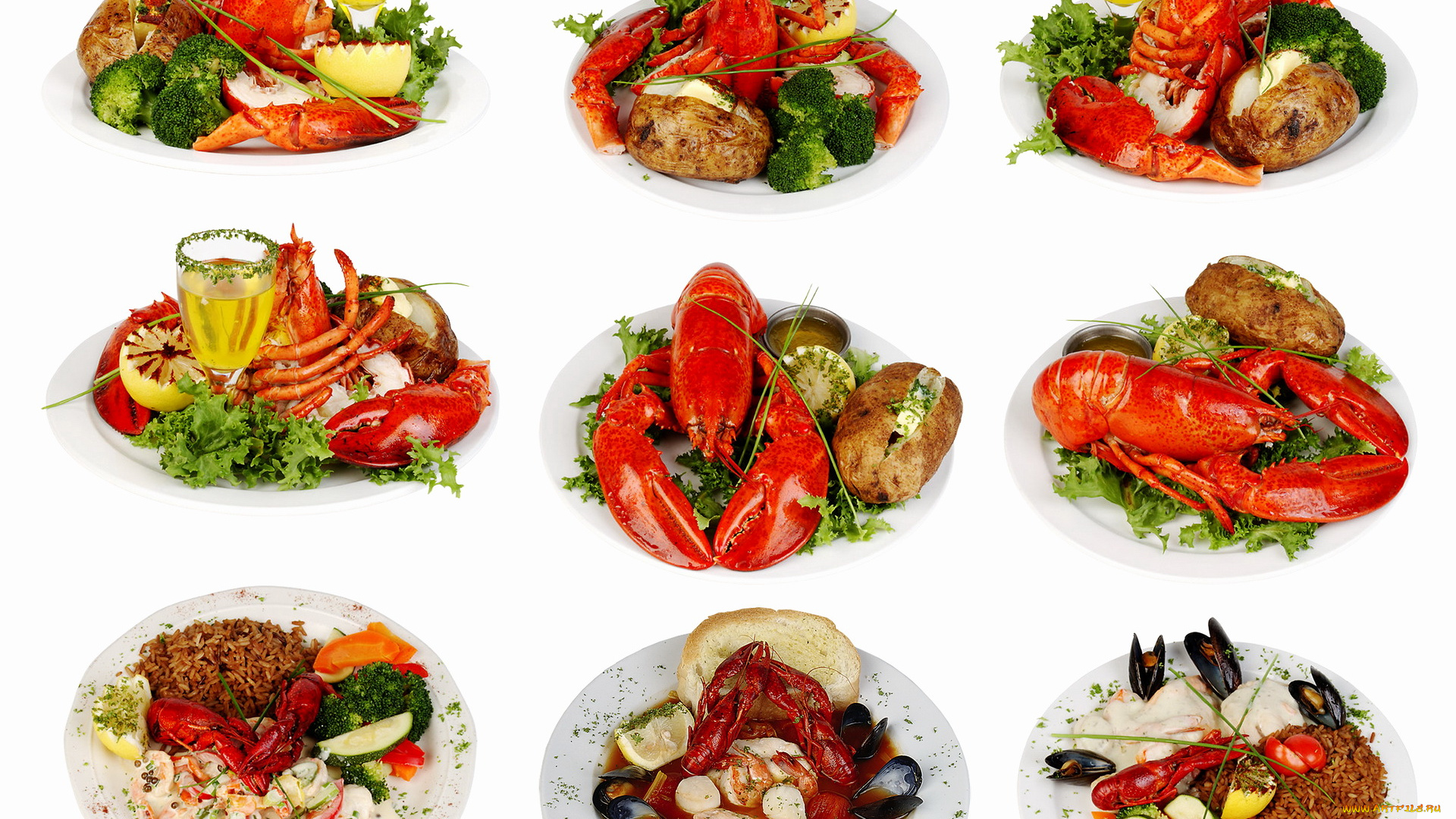 еда, рыбные, блюда, морепродуктами, коллаж