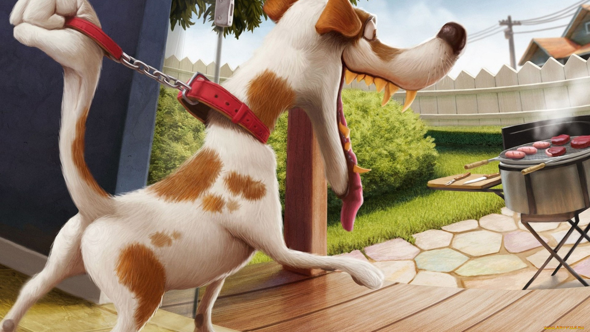 юмор, приколы, собака, ошейник