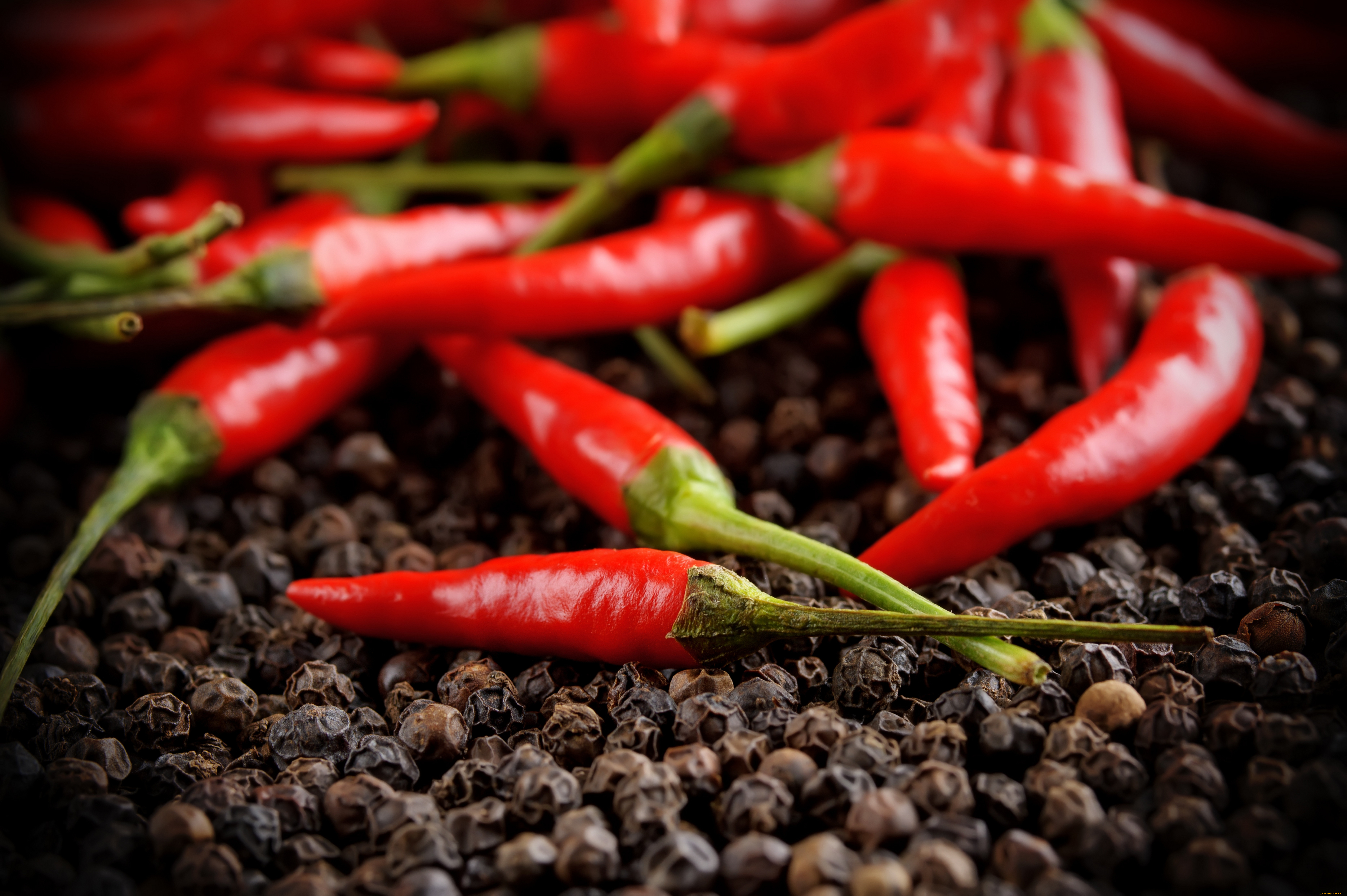 еда, перец, горошек, острый, красный, душистый