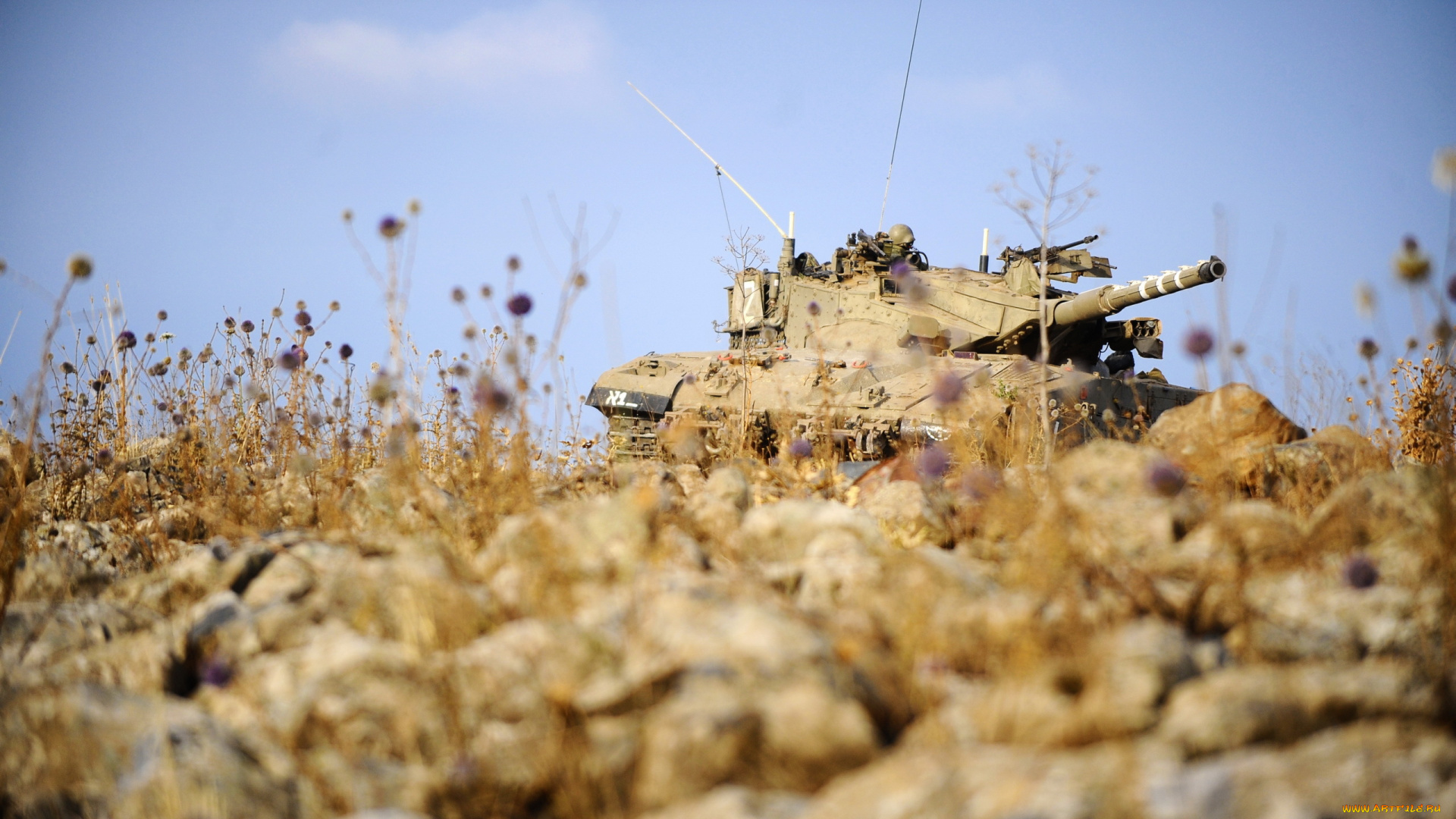 танк, на, поле, техника, военная