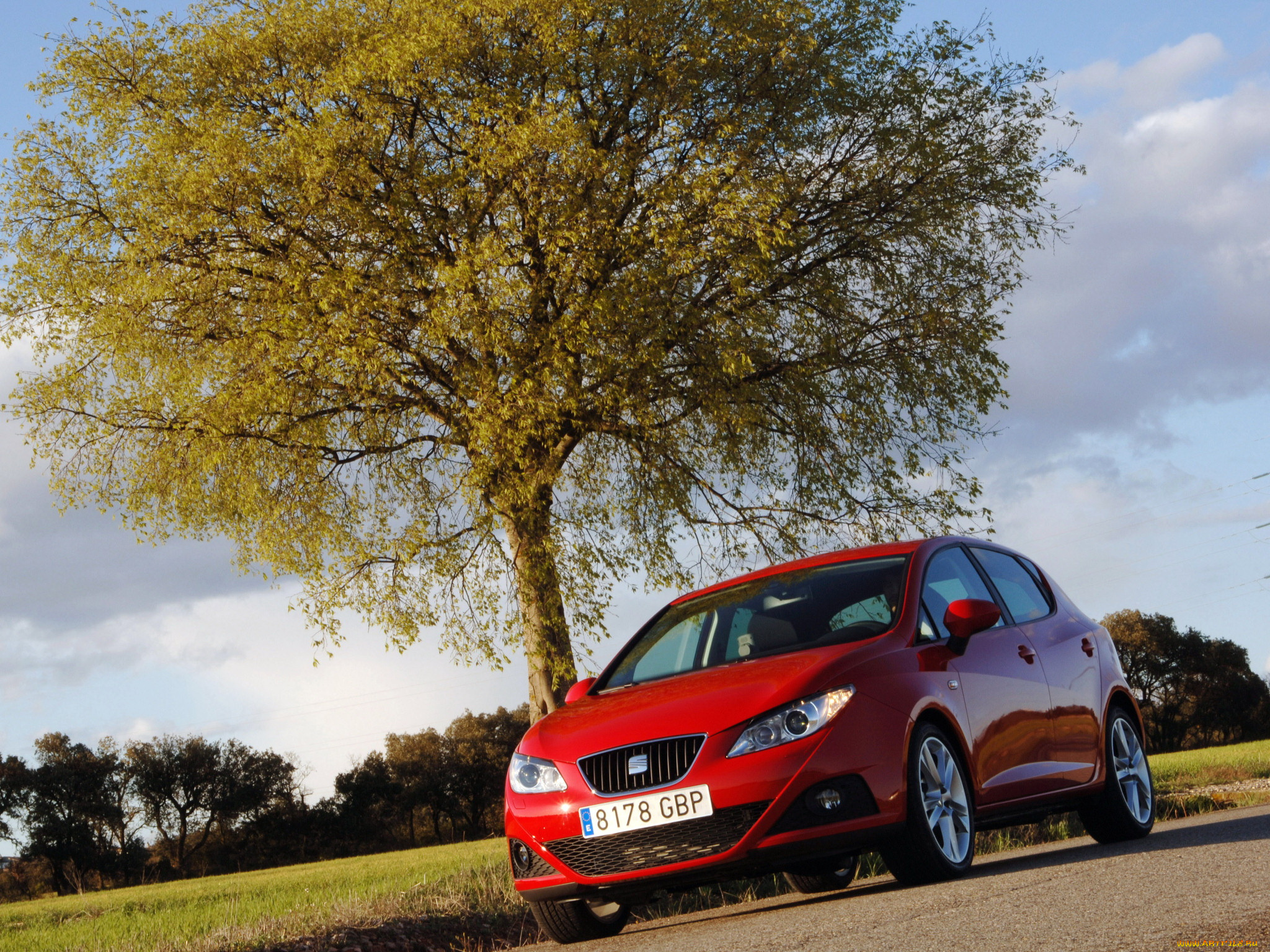 2008, seat, ibiza, автомобили