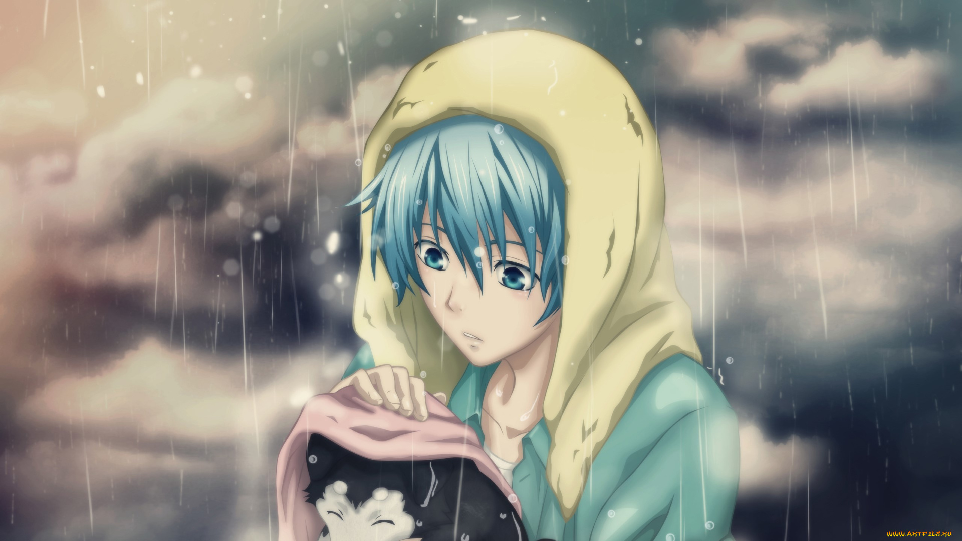 аниме, kuroko, no, baske, дождь, щенок, парень, tetsuya, kuroko