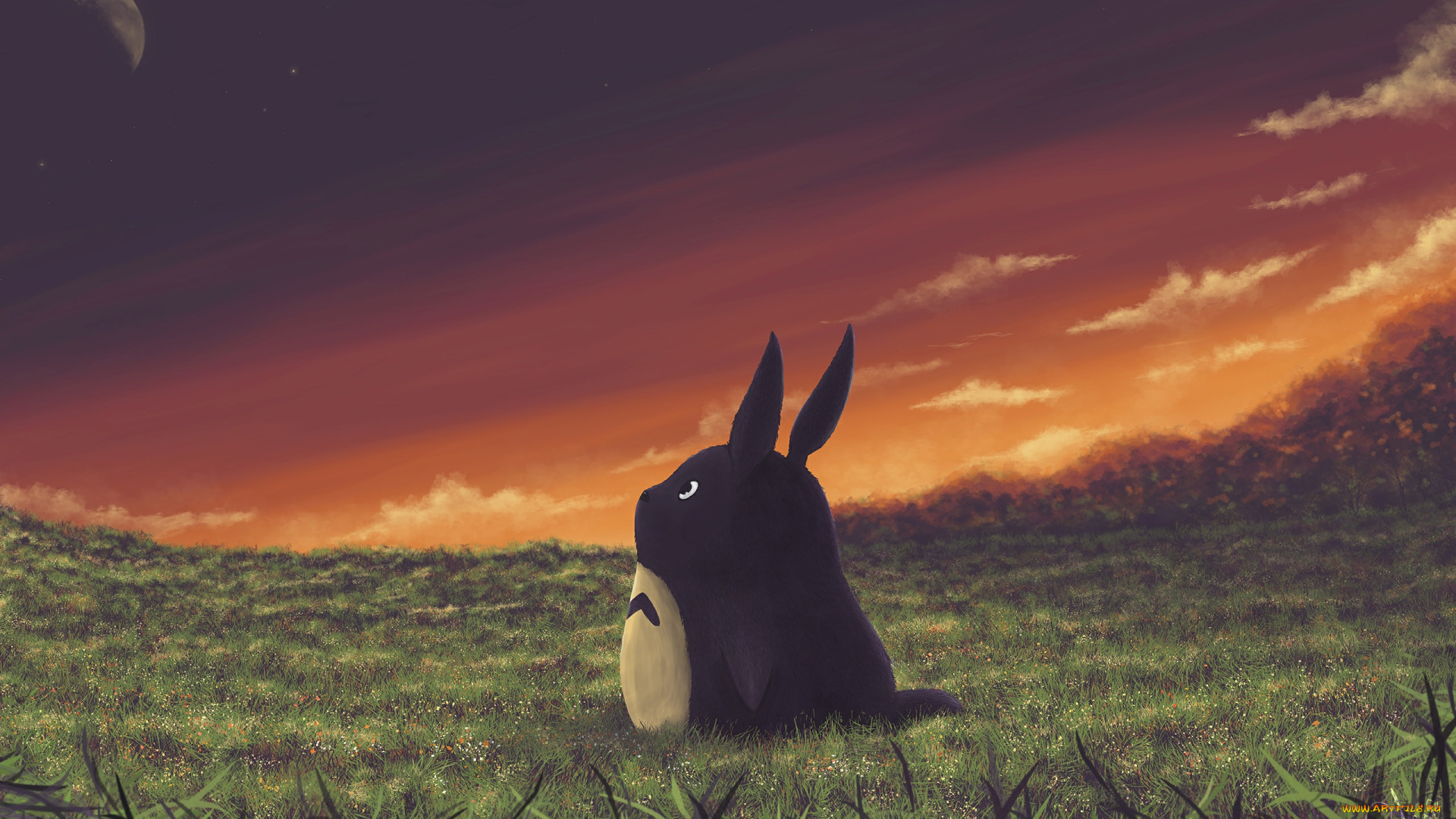 аниме, my, neighbor, totoro, трава, друг, дух, закат