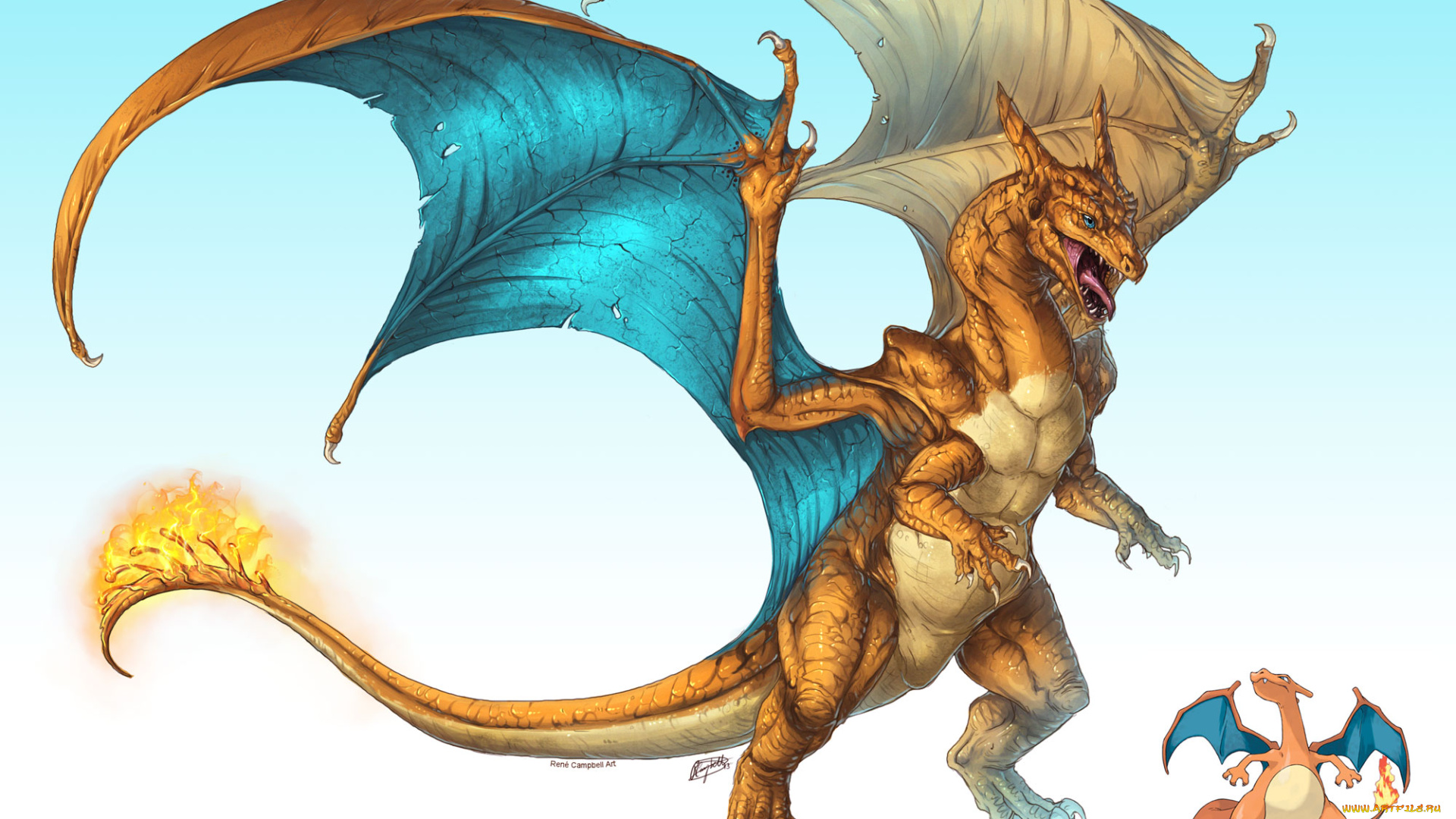 аниме, pokemon, покемон, черизард, дракон, арт, крылья, огнедышащий