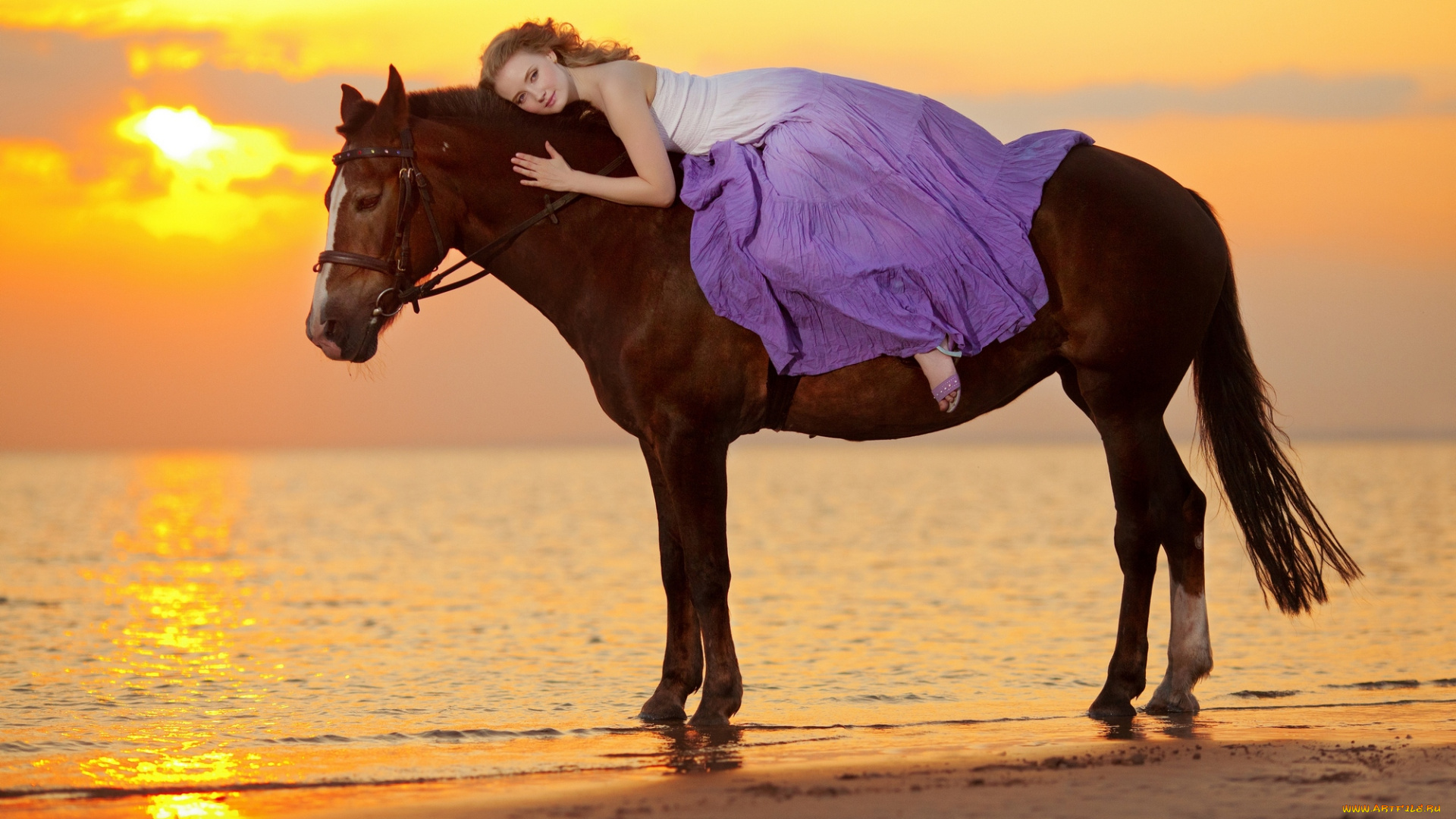 девушки, -unsort, , блондинки, езда, лошадь, девушка, закат, море, лето