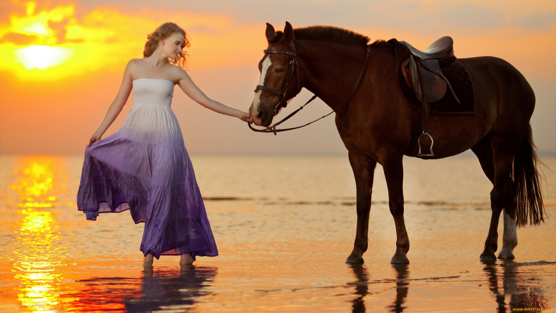 девушки, -unsort, , блондинки, лошадь, девушка, закат, море, лето