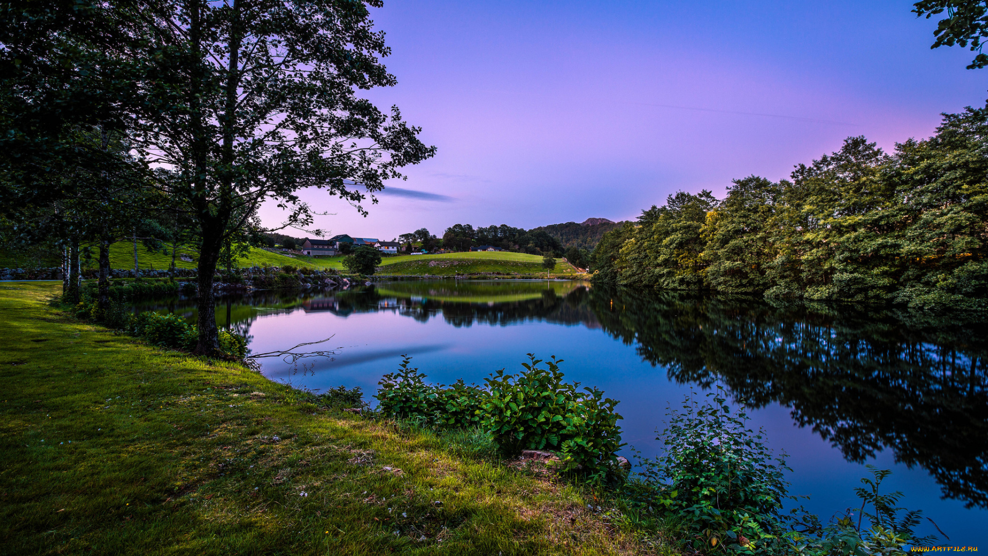 природа, реки, озера, отражение, река, лес