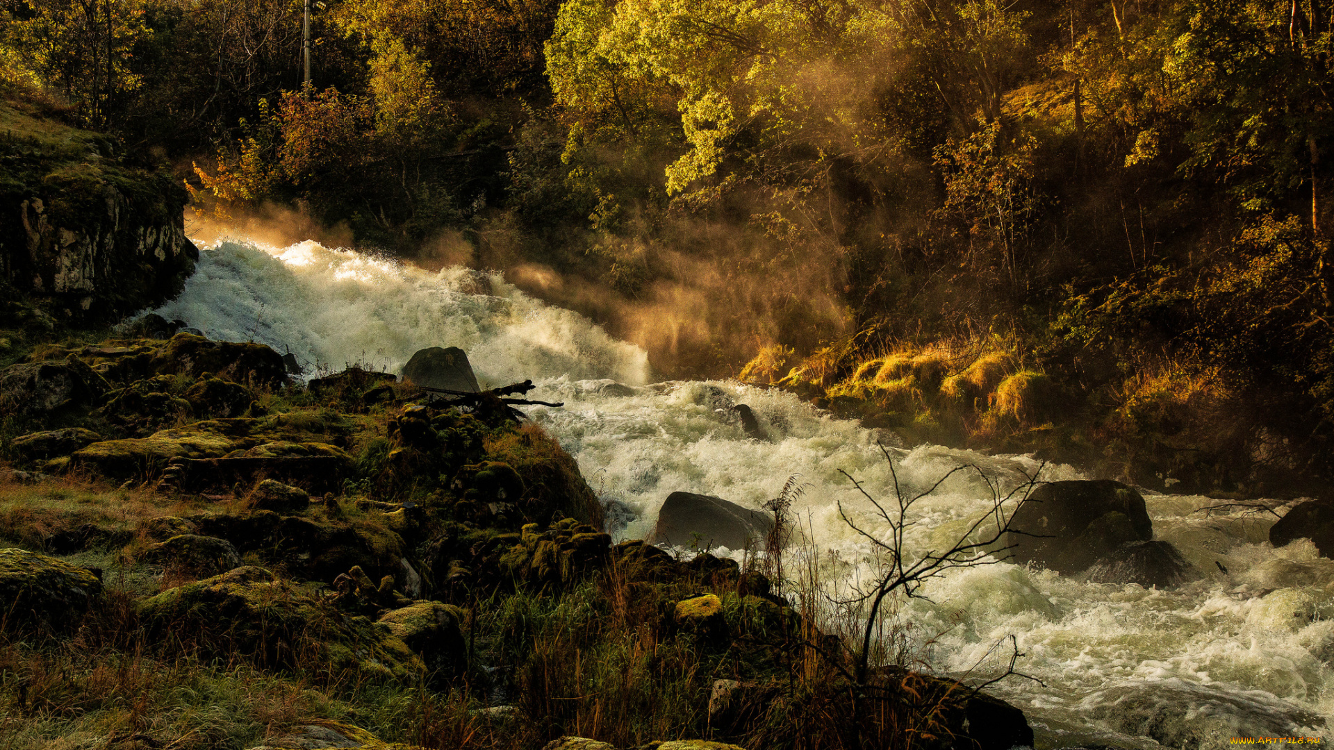 природа, реки, озера, стремнина, камни, река, лес