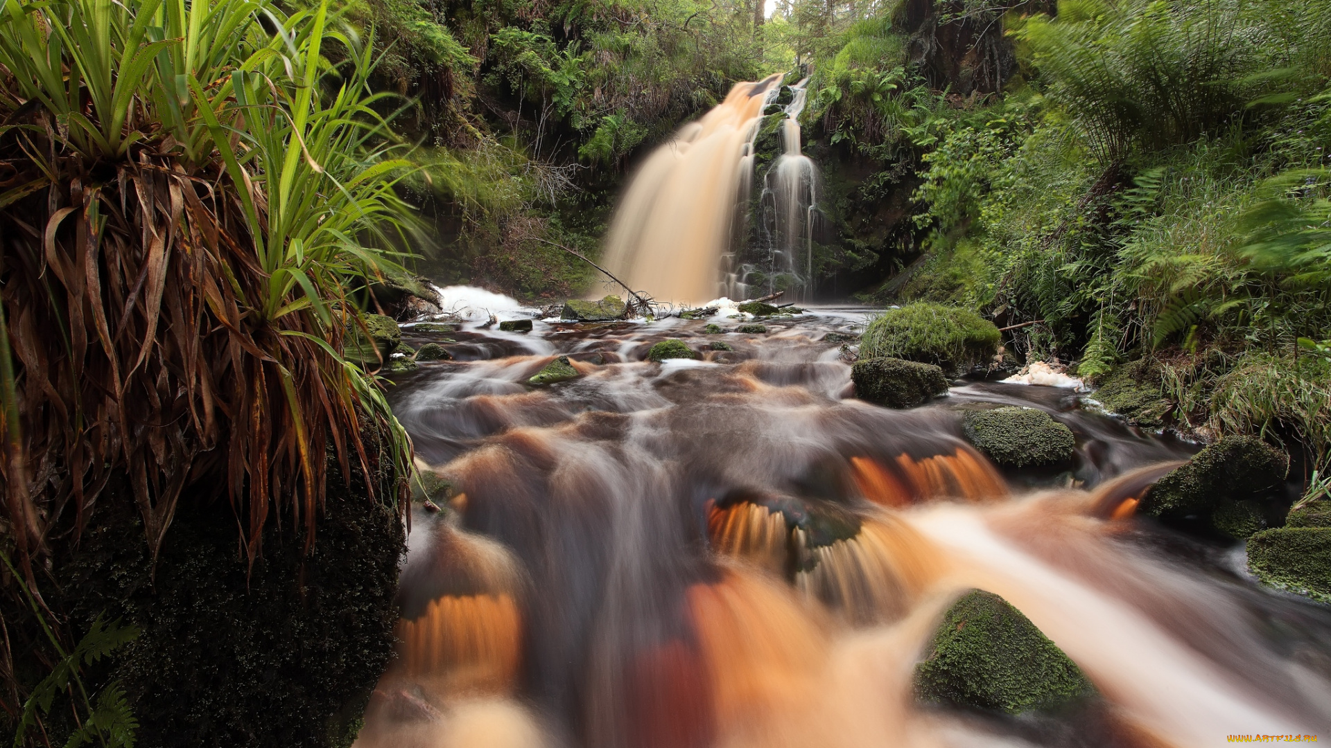 природа, реки, озера, вода