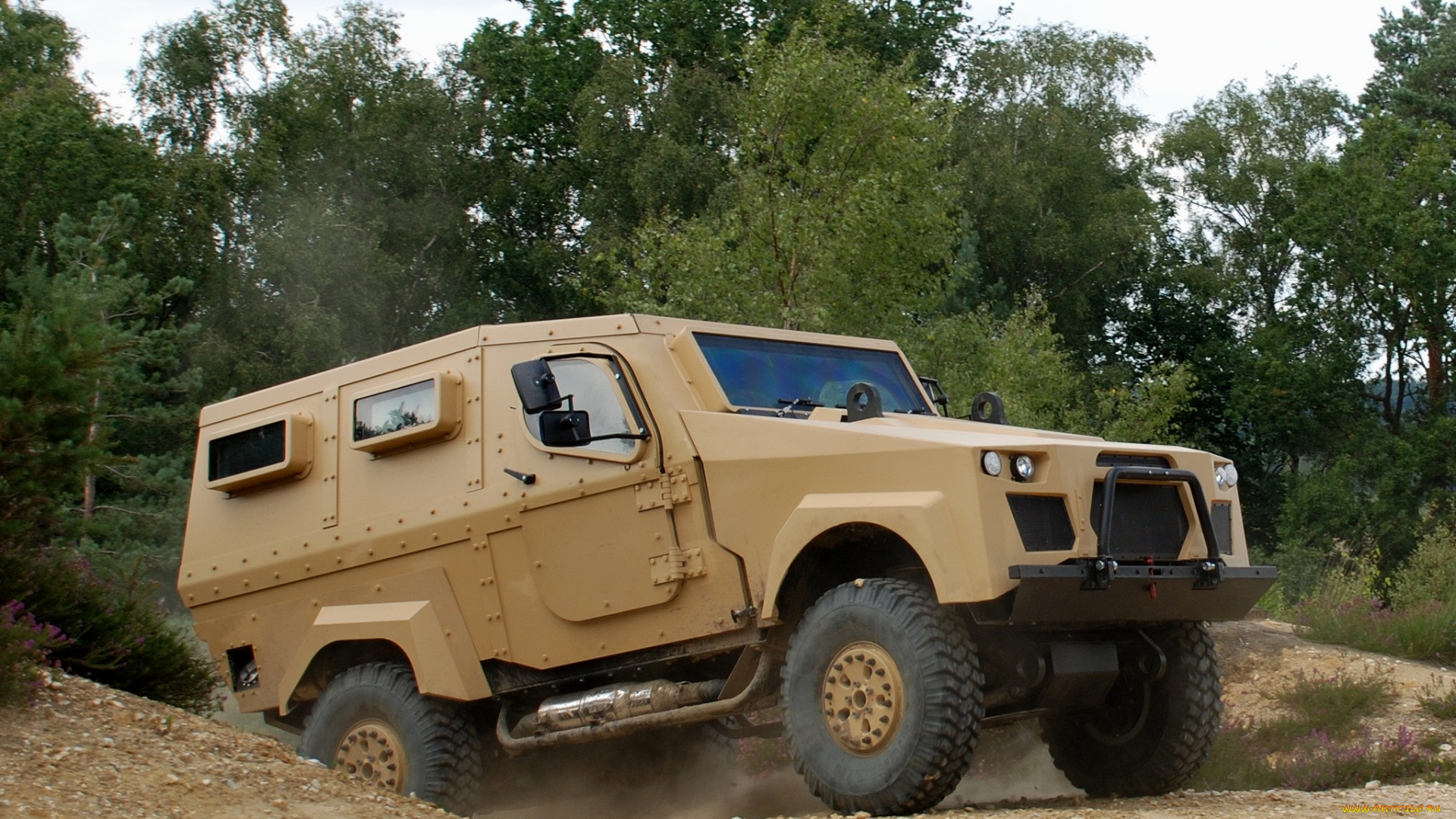 техника, военная, техника, zephir, srv, 2010