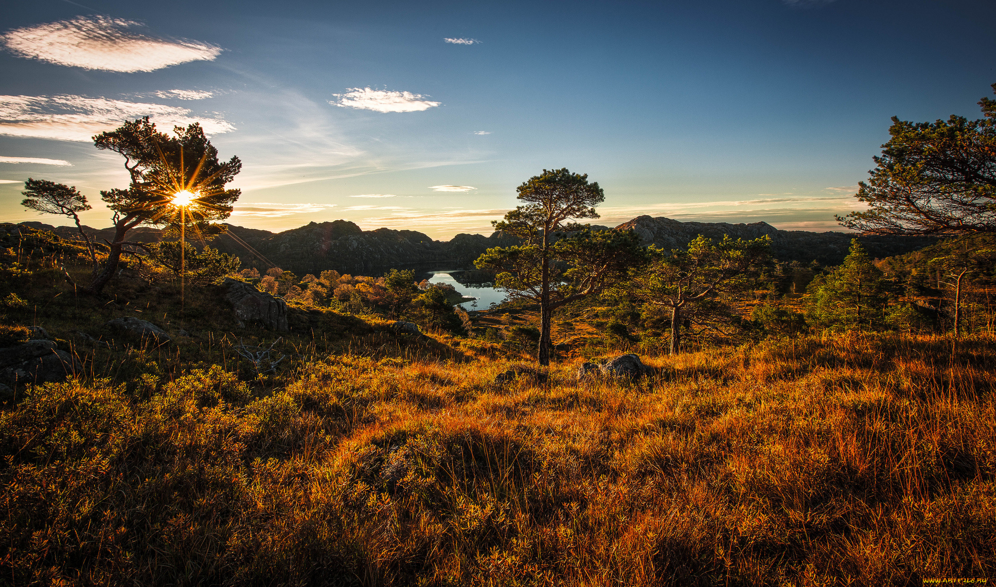 природа, восходы, закаты, трава, деревья, река, свет, солнце