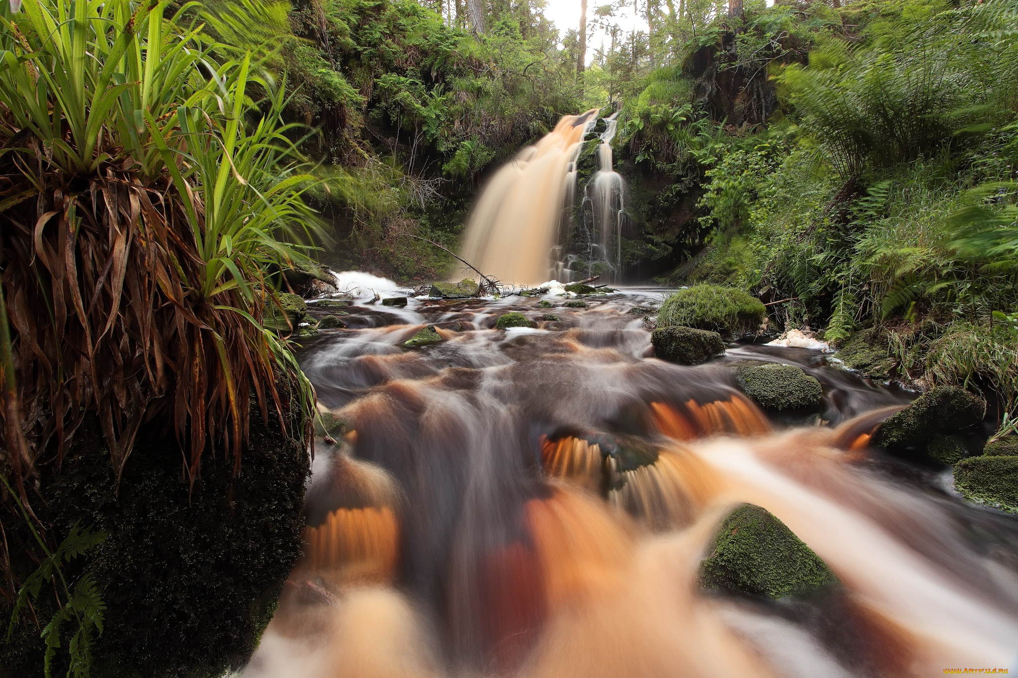 природа, реки, озера, вода