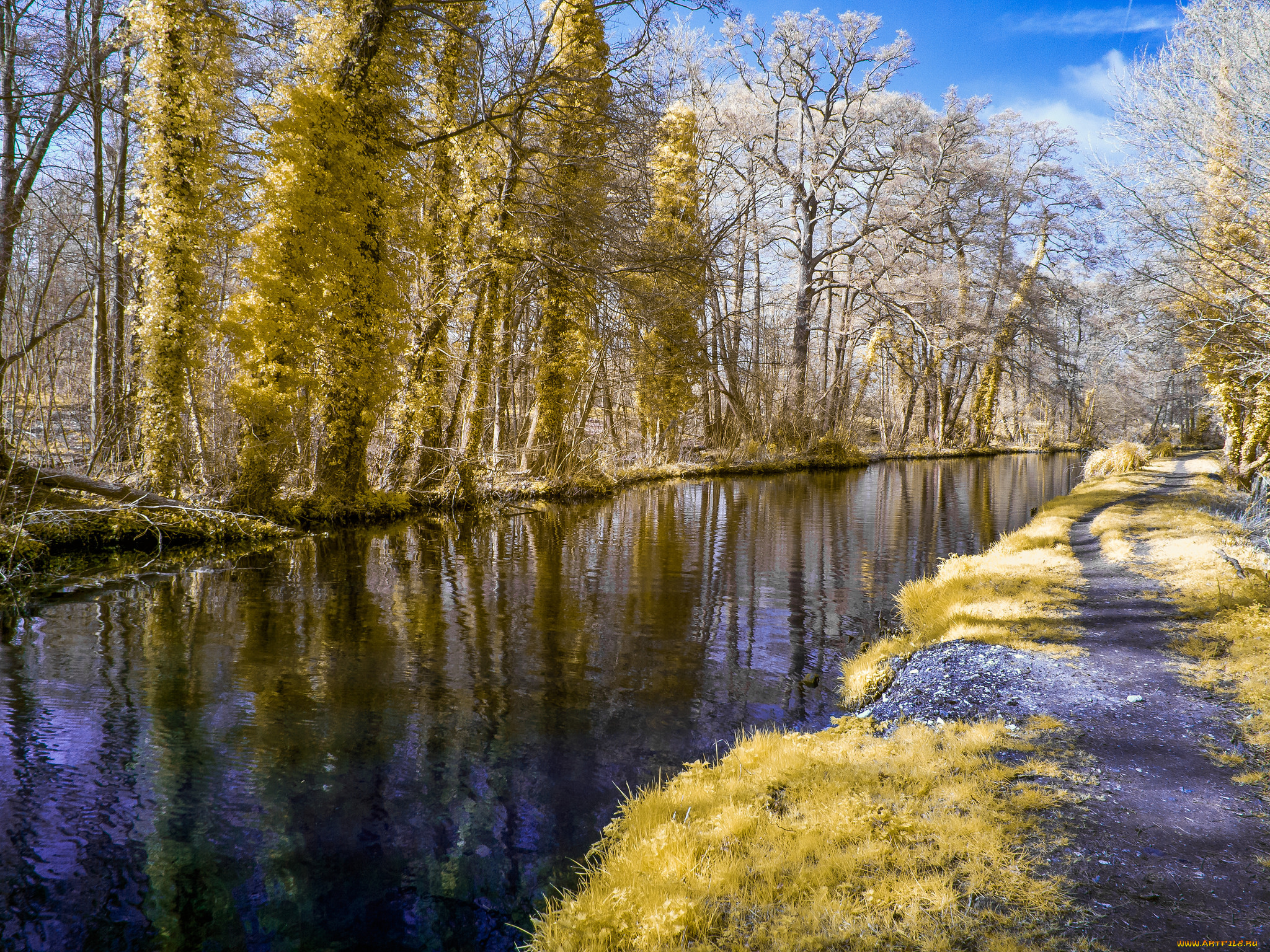 природа, реки, озера, тропинка, река, лес, осень