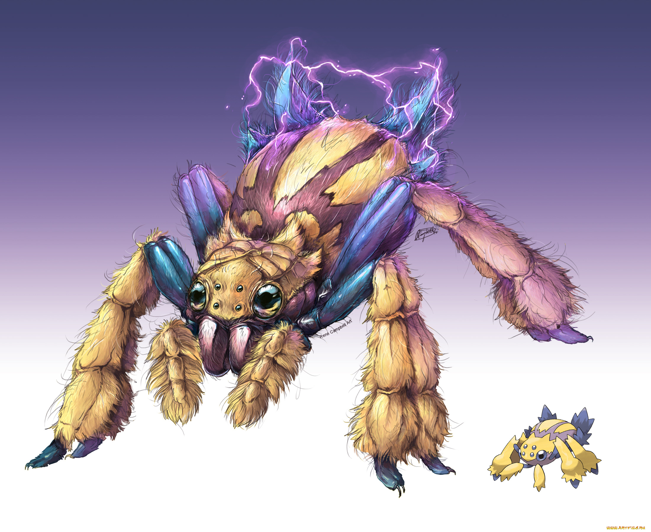 аниме, pokemon, покемон, насекомообразный, лохматый, паук, арт