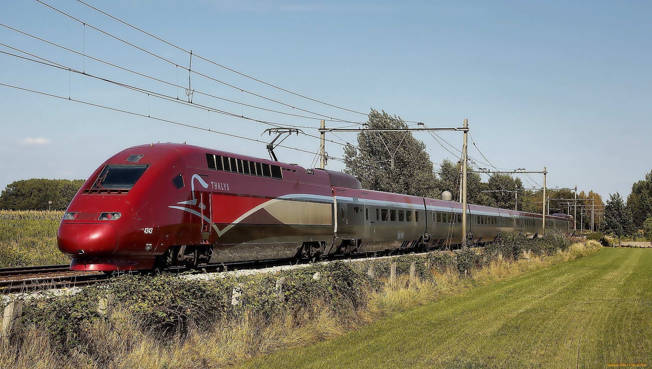 техника, поезда, поезд, скорость