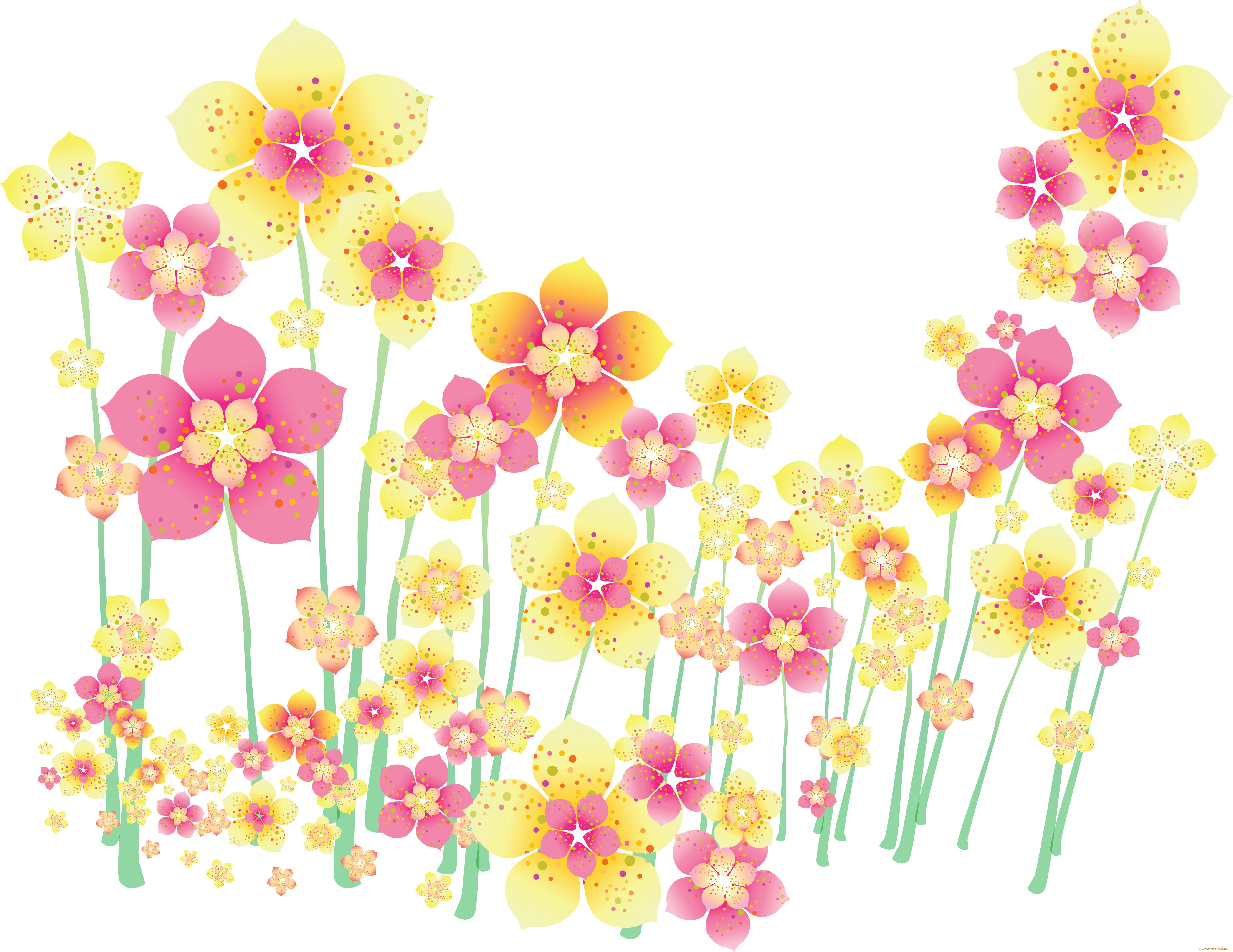 векторная, графика, цветы, фон