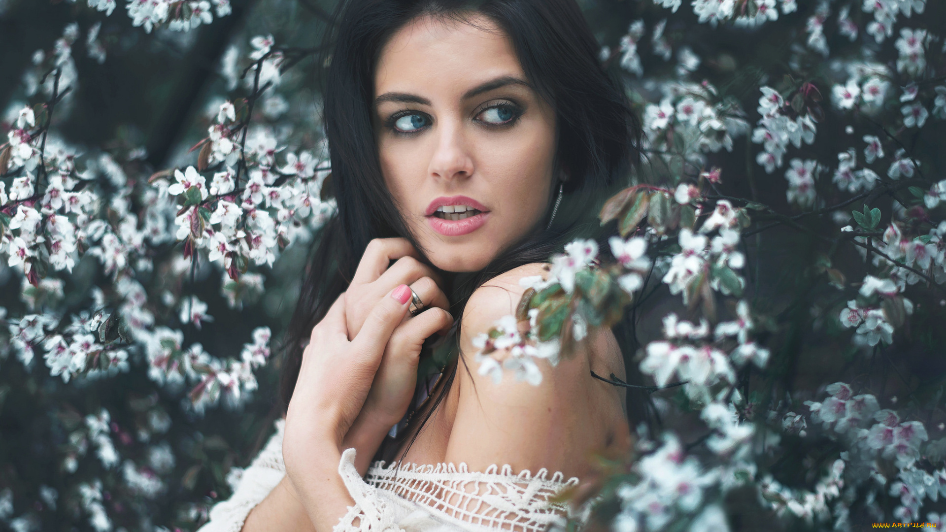 девушки, -unsort, , брюнетки, , шатенки, взгляд, лицо