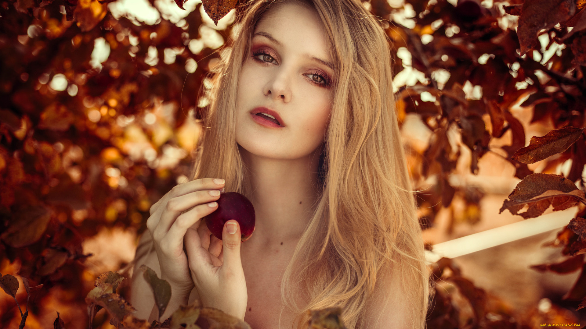 девушки, -unsort, , лица, , портреты, взгляд, лицо