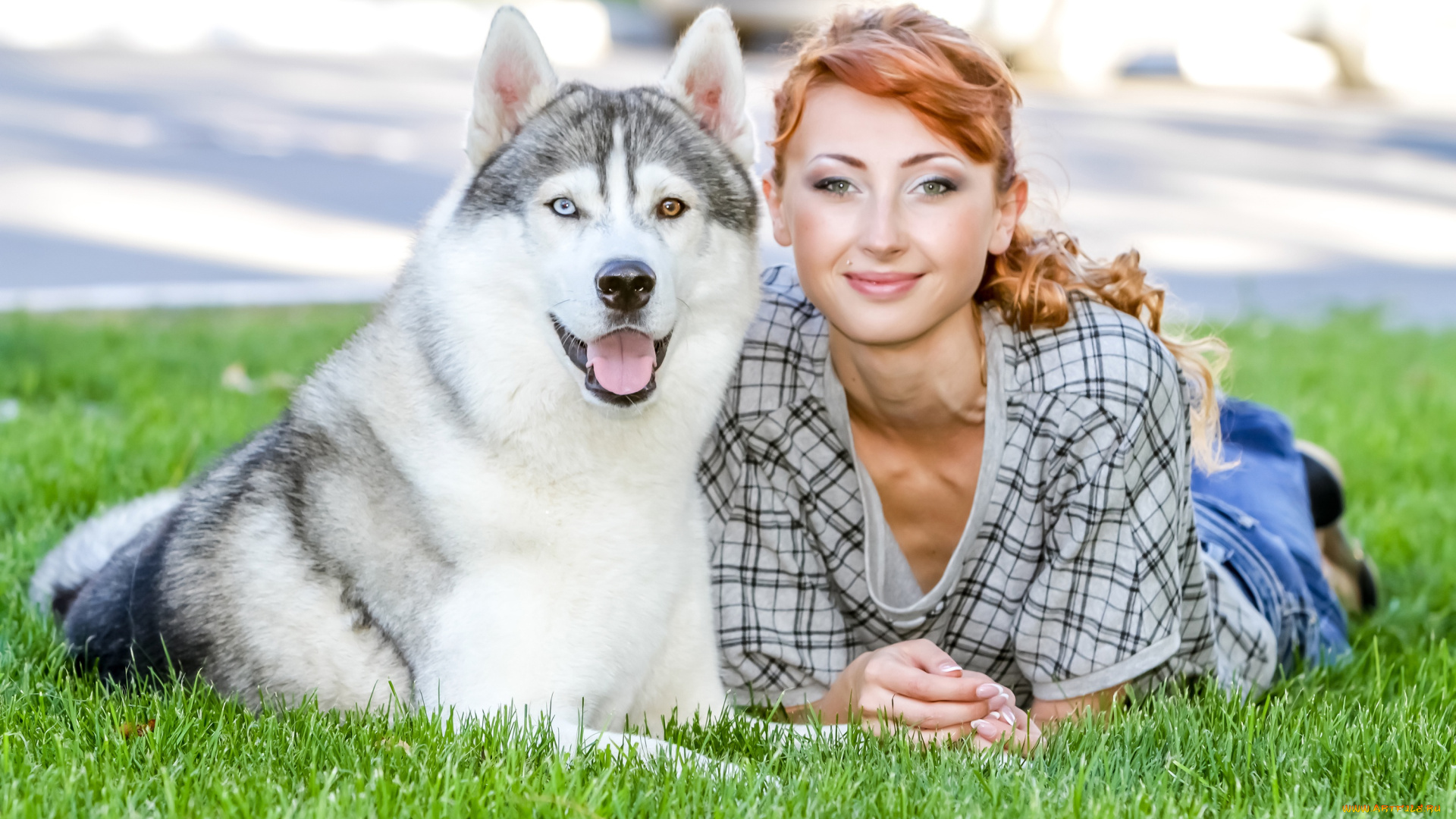 девушки, -unsort, , рыжеволосые, и, другие, рыжая, собака, лежат, на, траве, хаски, боке, зелень, газон, девушка