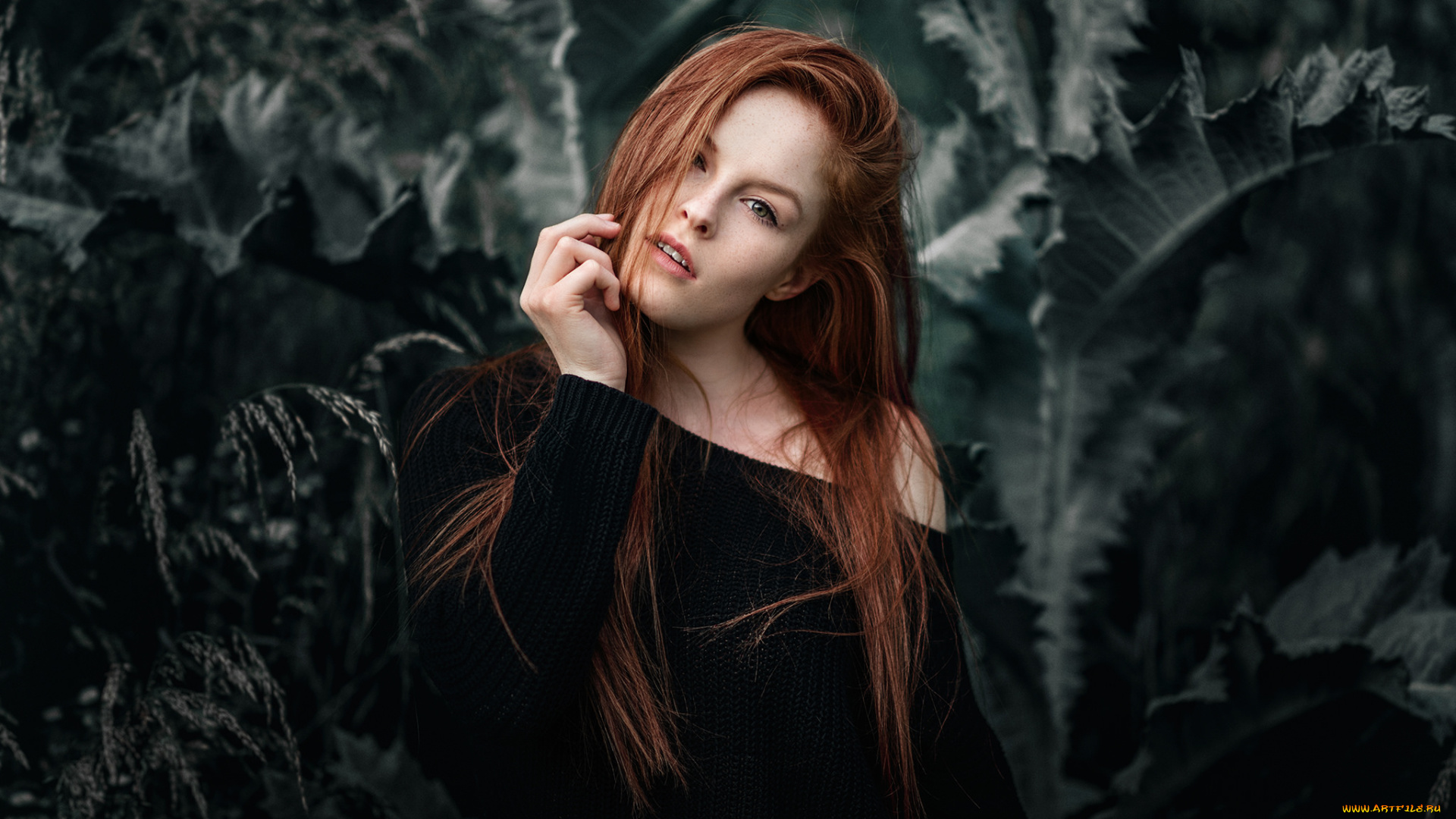 девушки, -unsort, , рыжеволосые, и, другие, взгляд, лицо