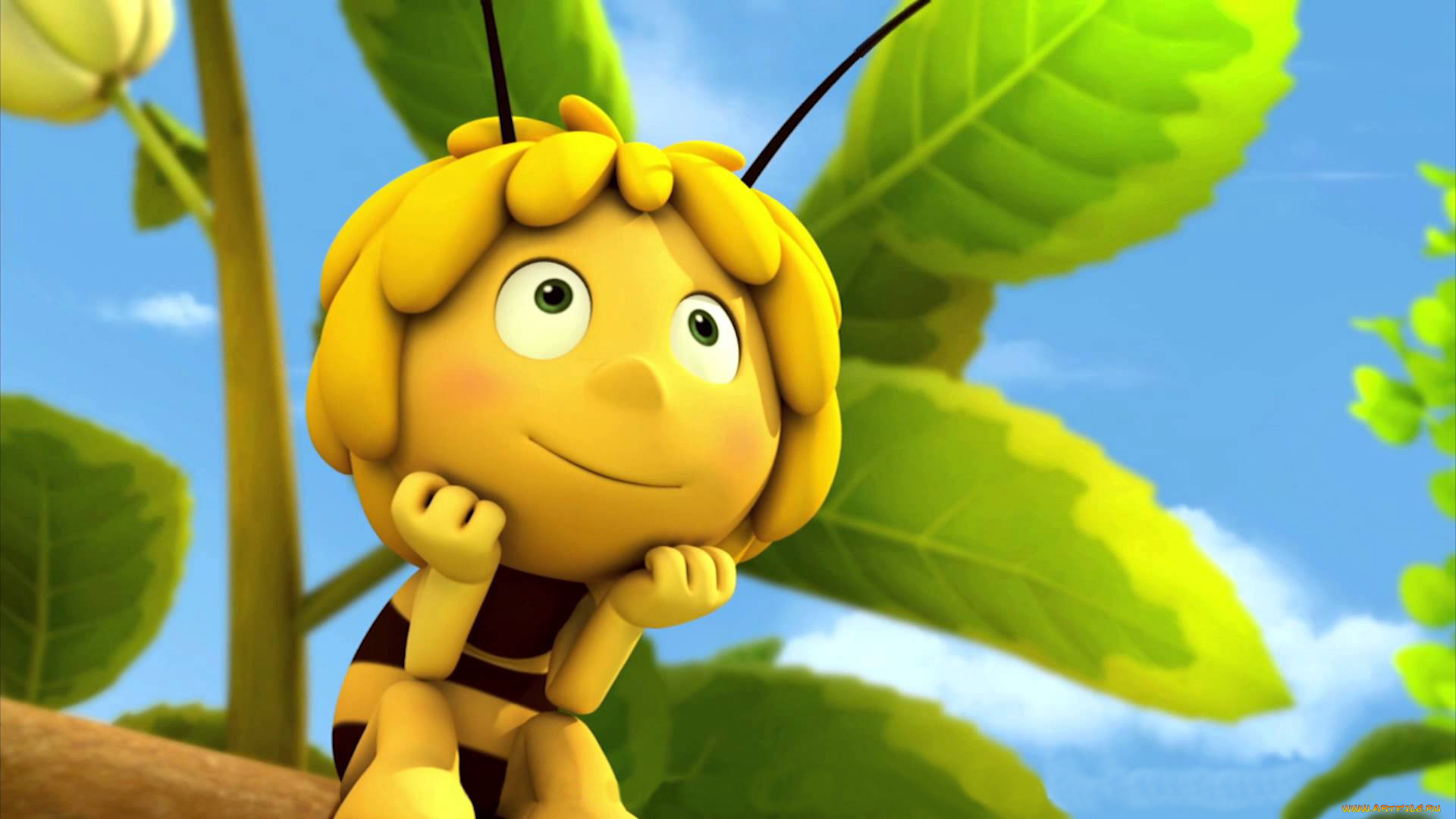 maya, the, bee, movie, мультфильмы, maya, the, bee, –, movie, пчелка, maya, the, bee, movie