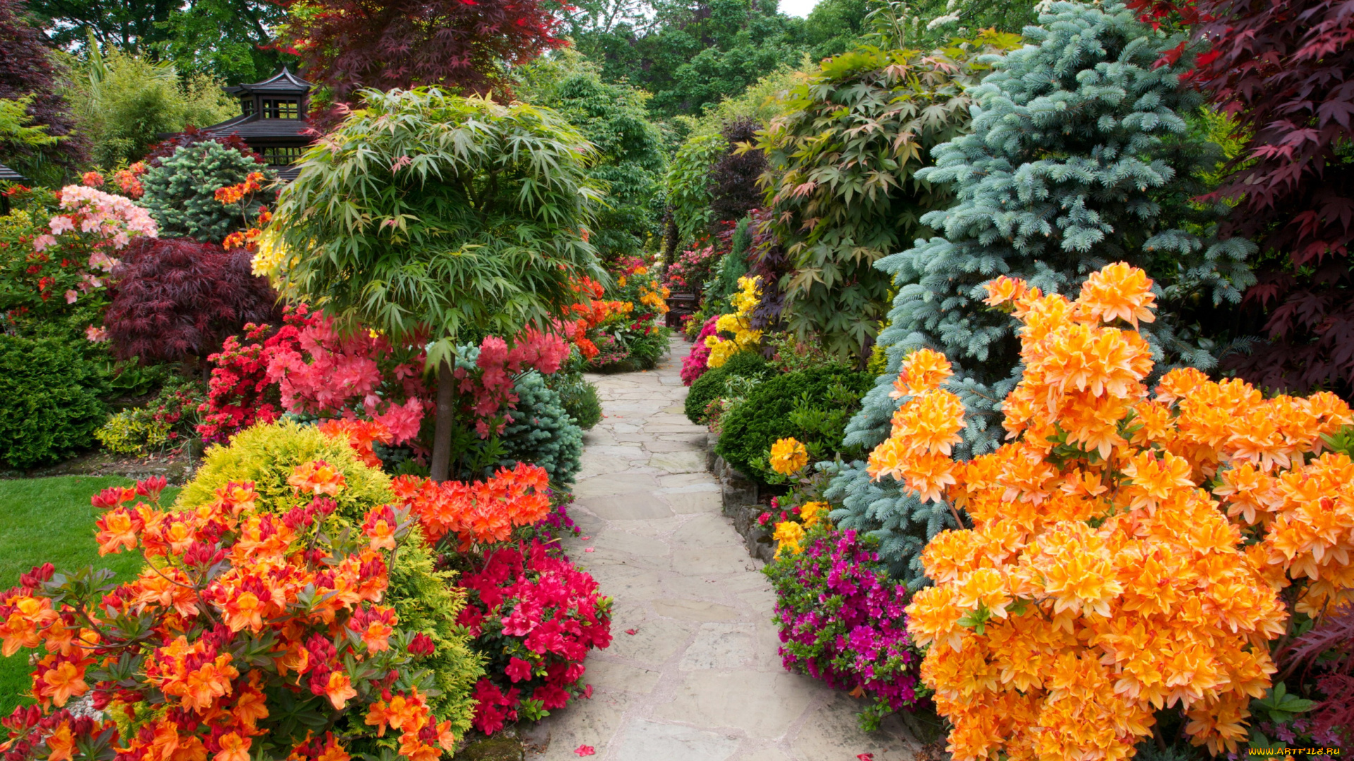 природа, парк, деревья, цветущие, кусты, ель, беседка