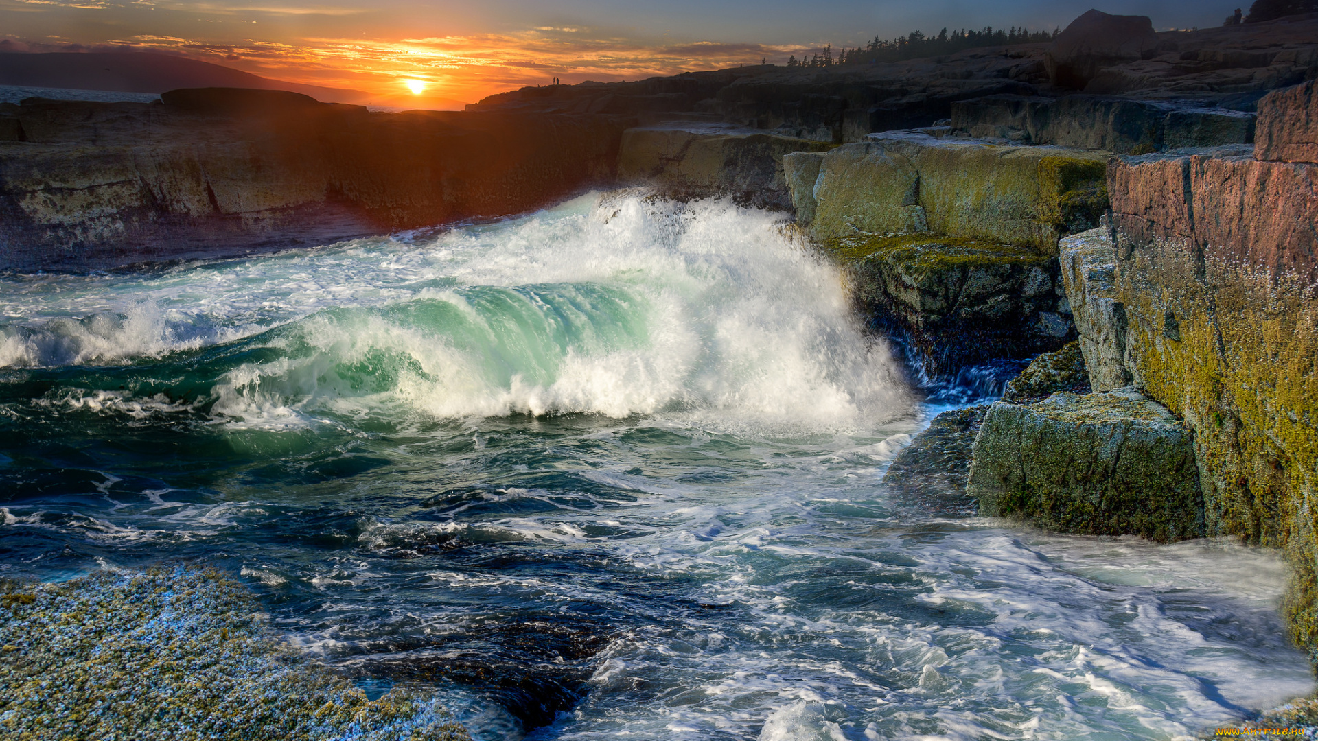 природа, побережье, рассвет