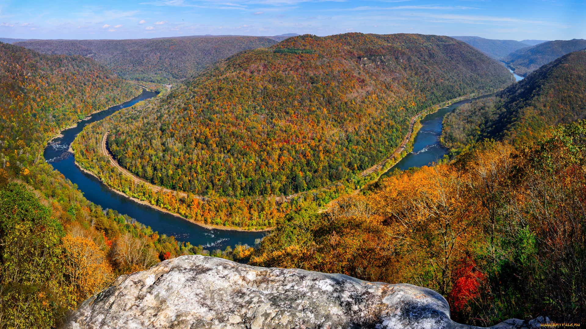 природа, реки, озера, лес, река