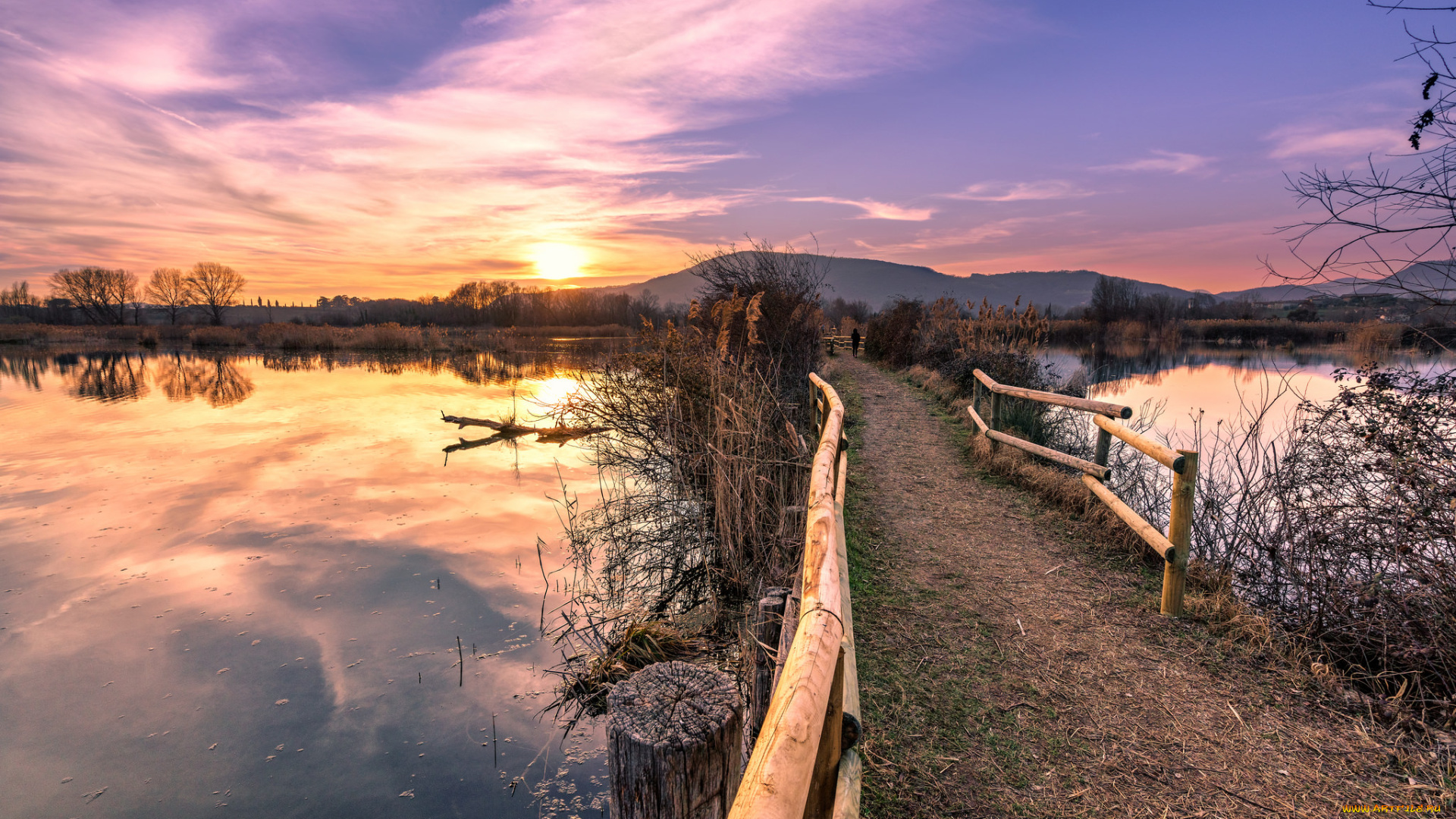 природа, реки, озера, река, лес