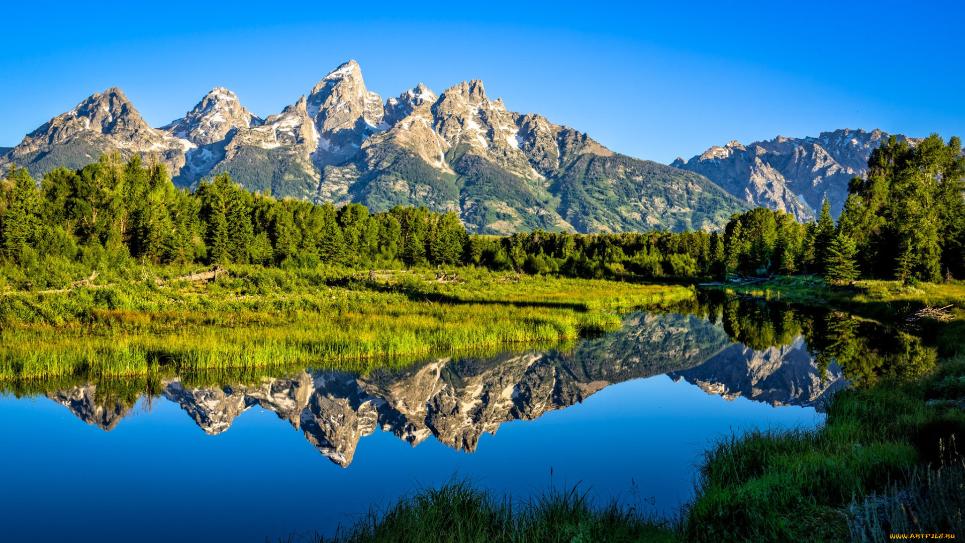 природа, реки, озера, река, лес, горы