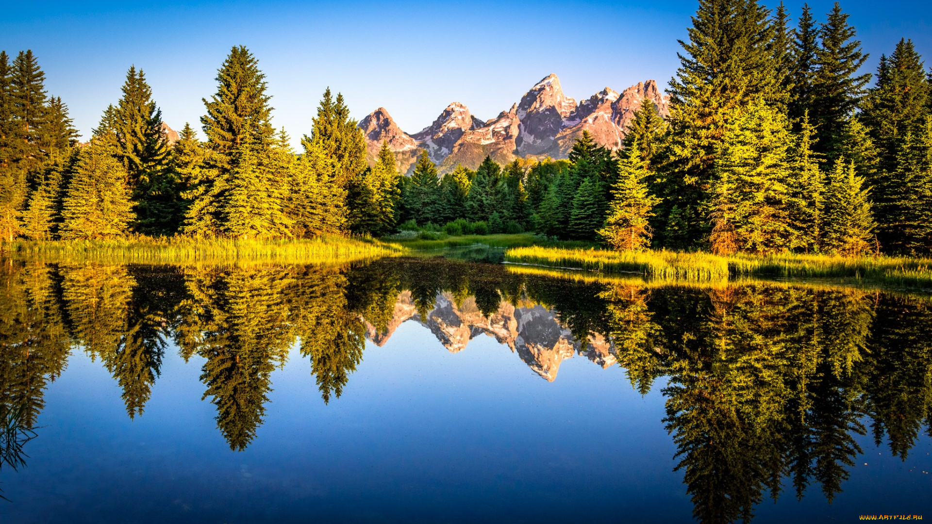 природа, реки, озера, река, лес, горы