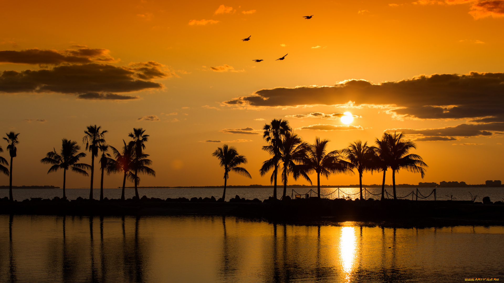 природа, тропики, рассвет