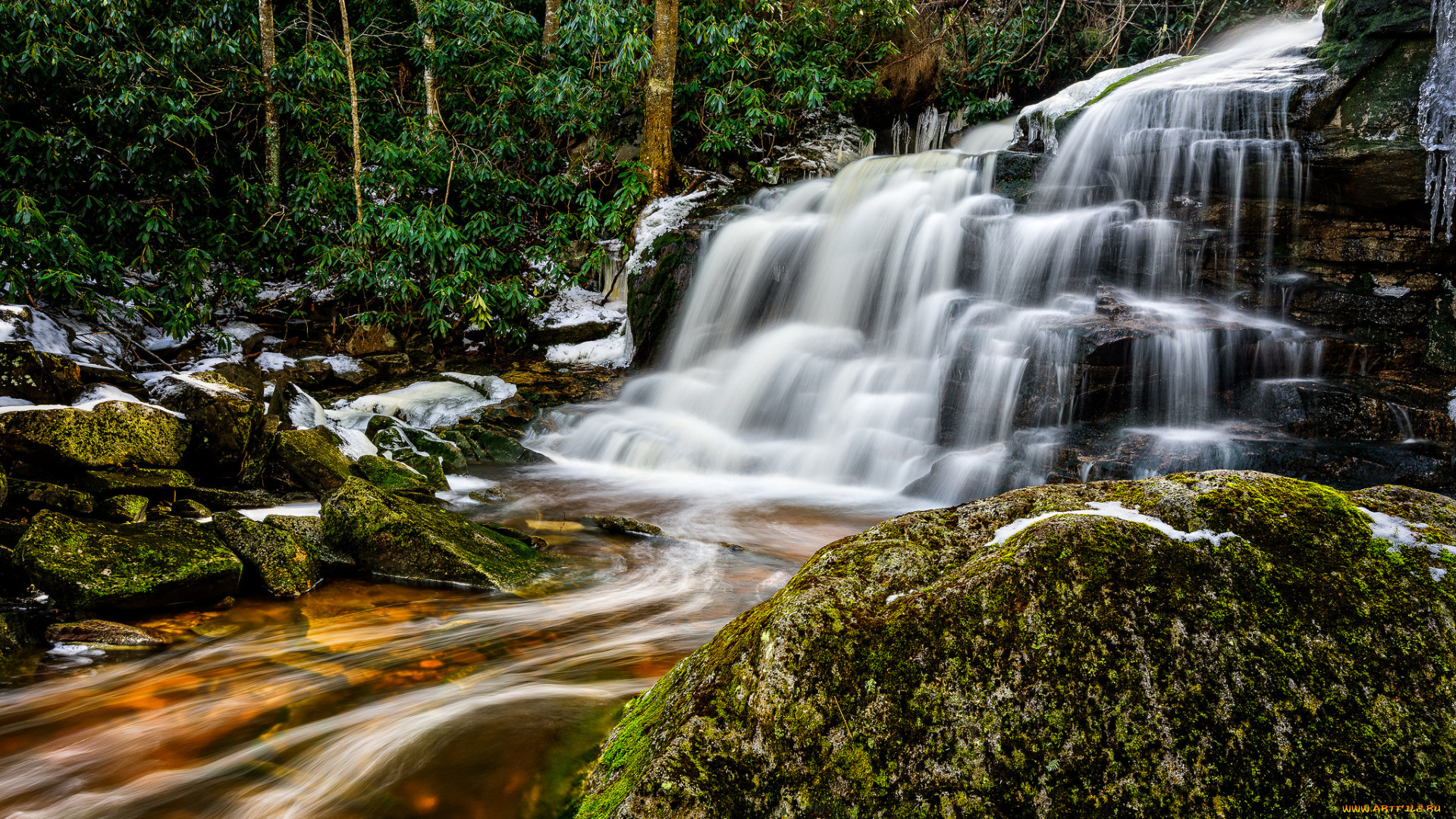 природа, водопады, лес, водопад, река