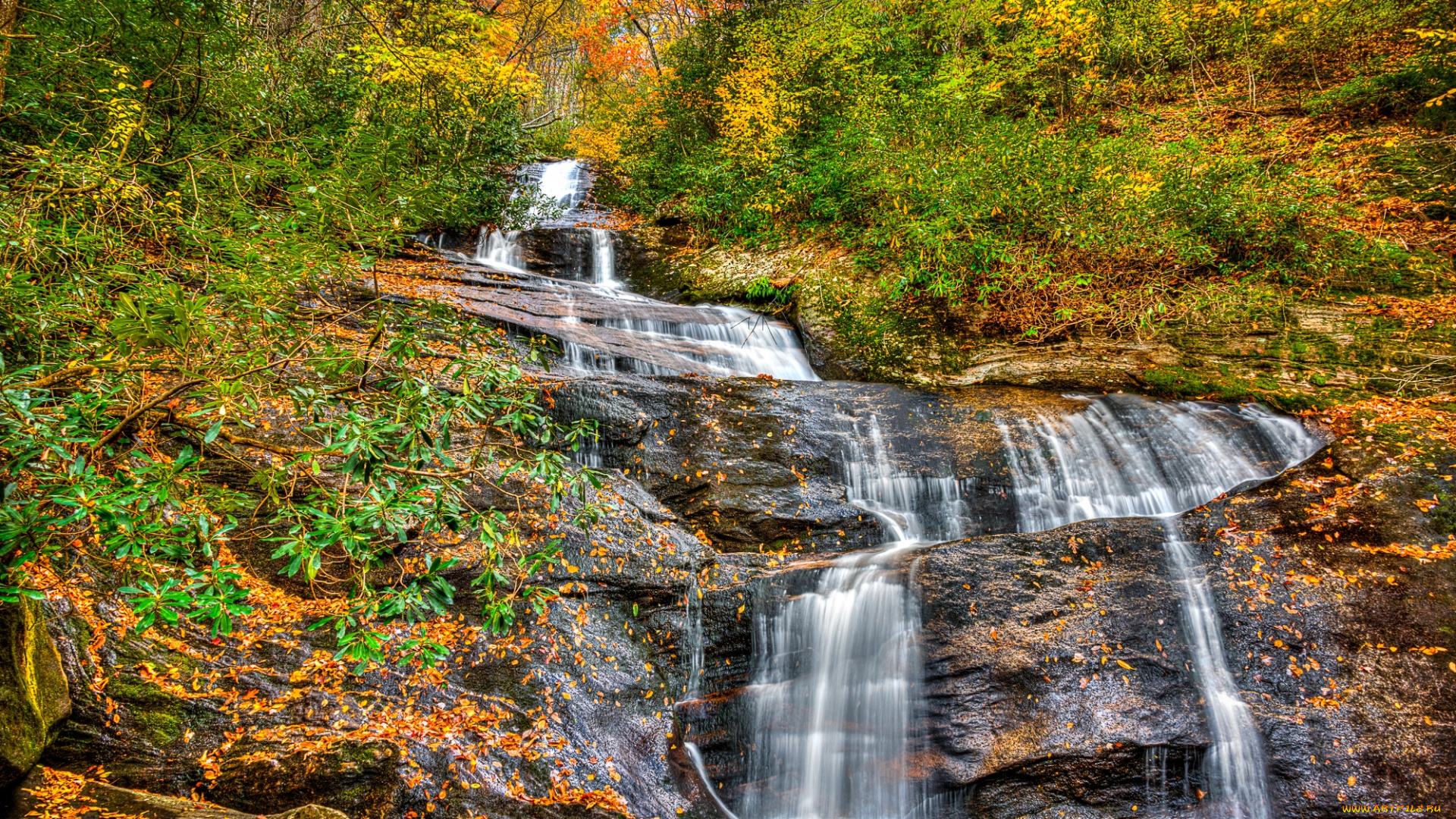 природа, водопады, водопад, река, лес