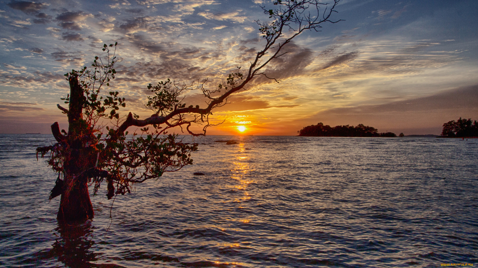 природа, восходы, закаты, рассвет