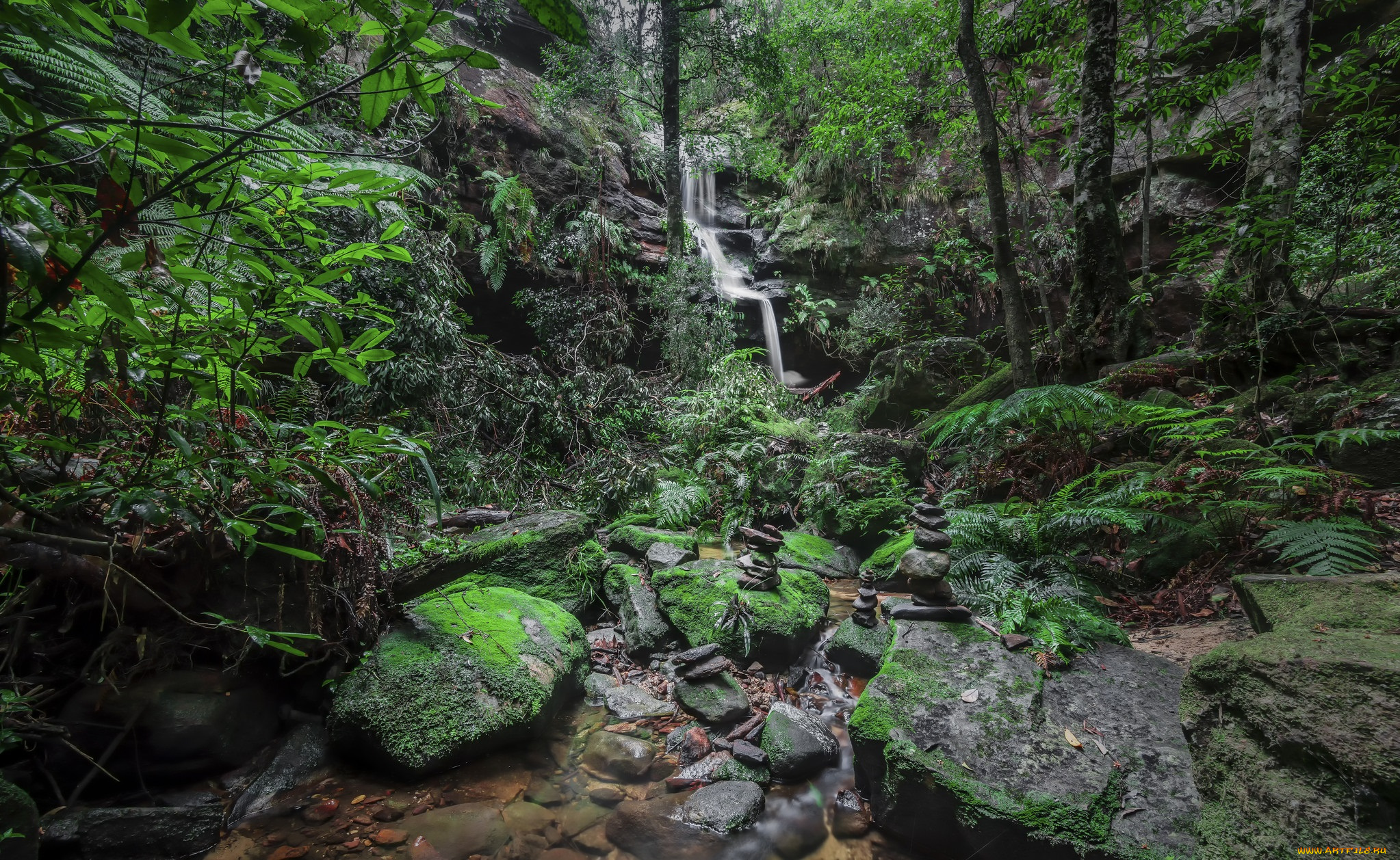 природа, водопады, водопад, река, лес