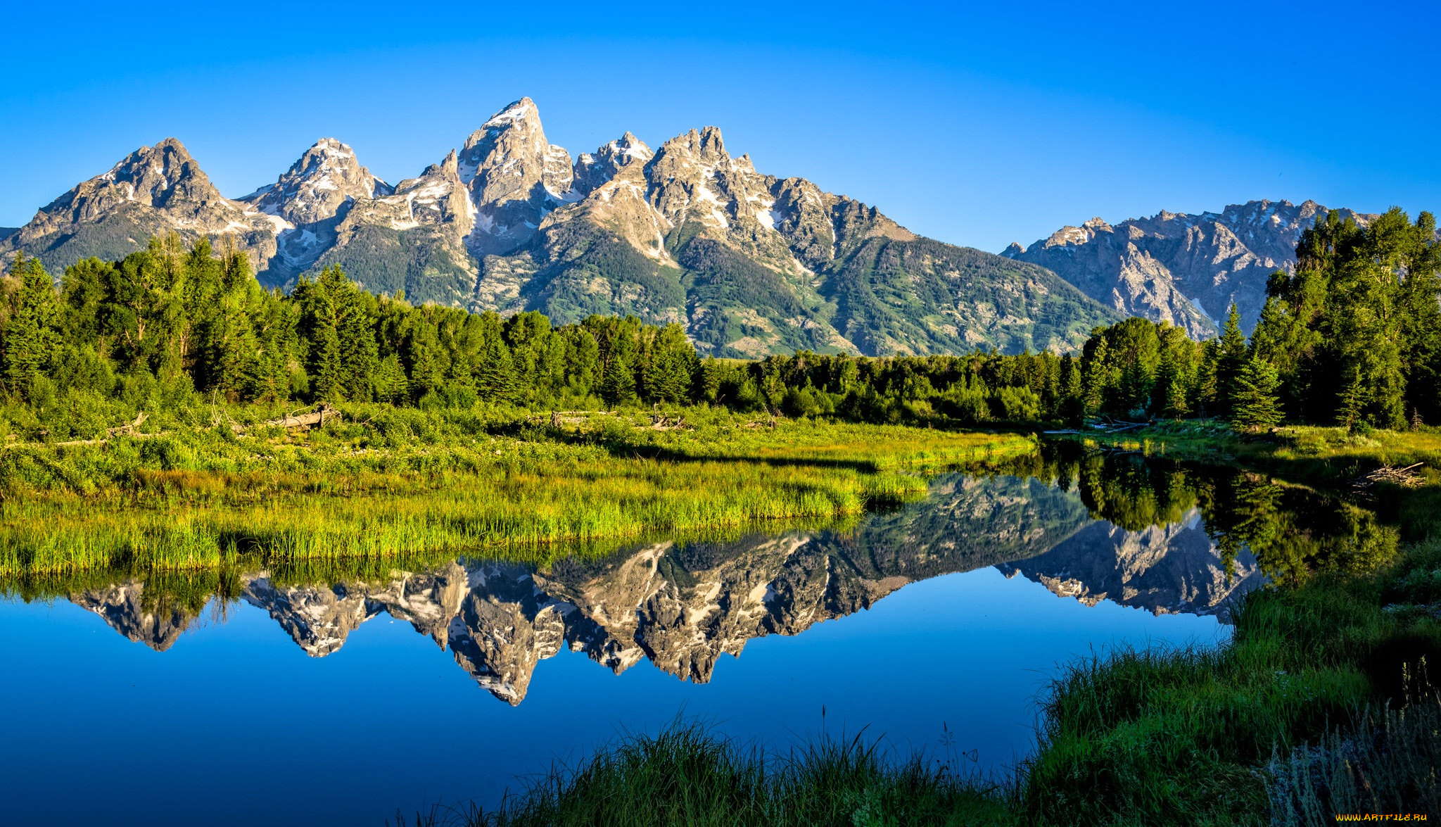 природа, реки, озера, река, лес, горы