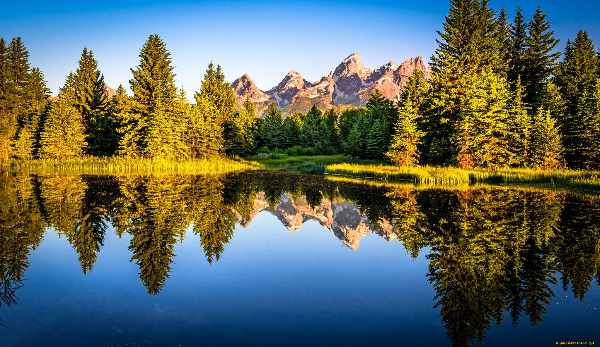 природа, реки, озера, река, лес, горы