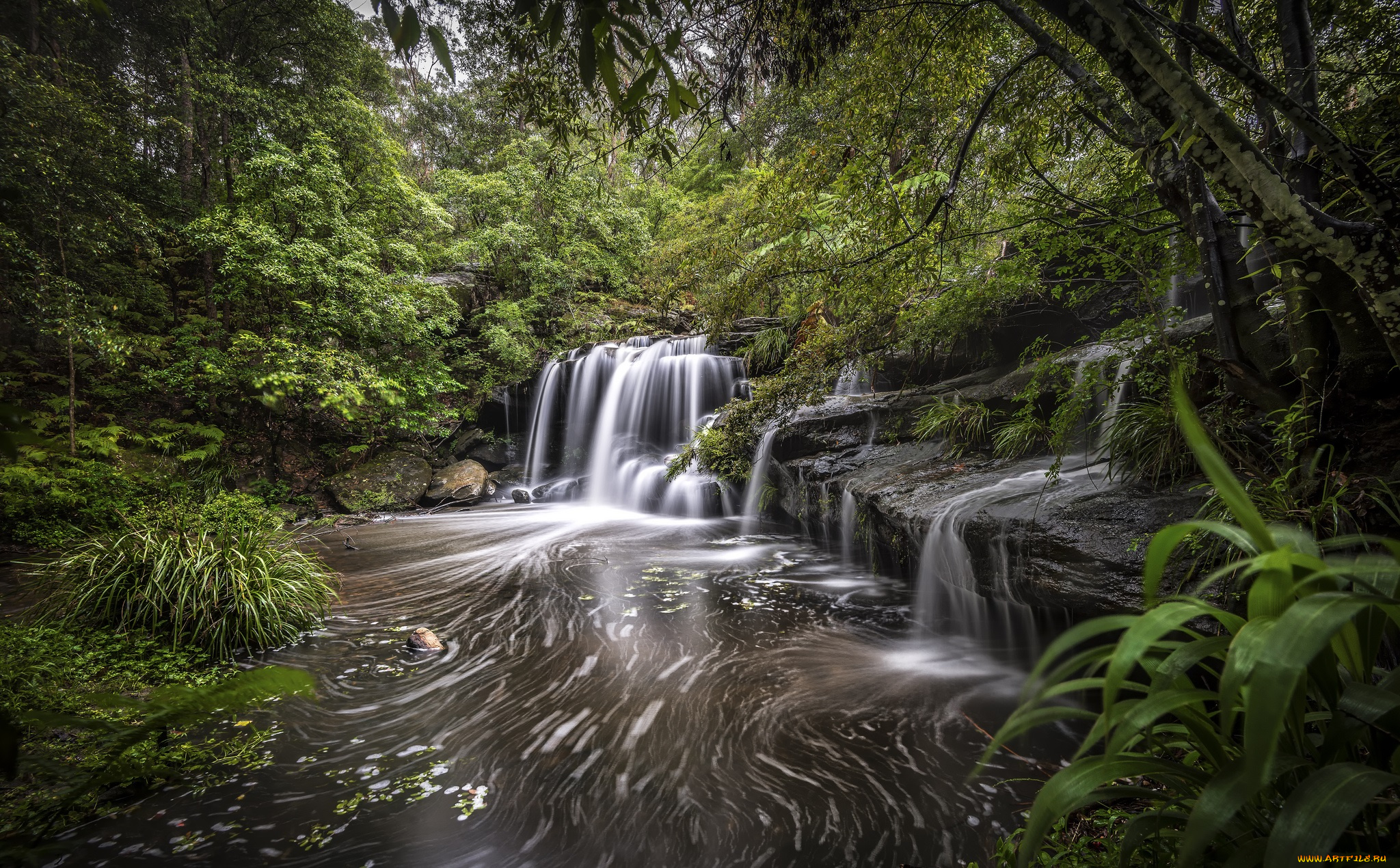 природа, водопады, водопад, река, лес
