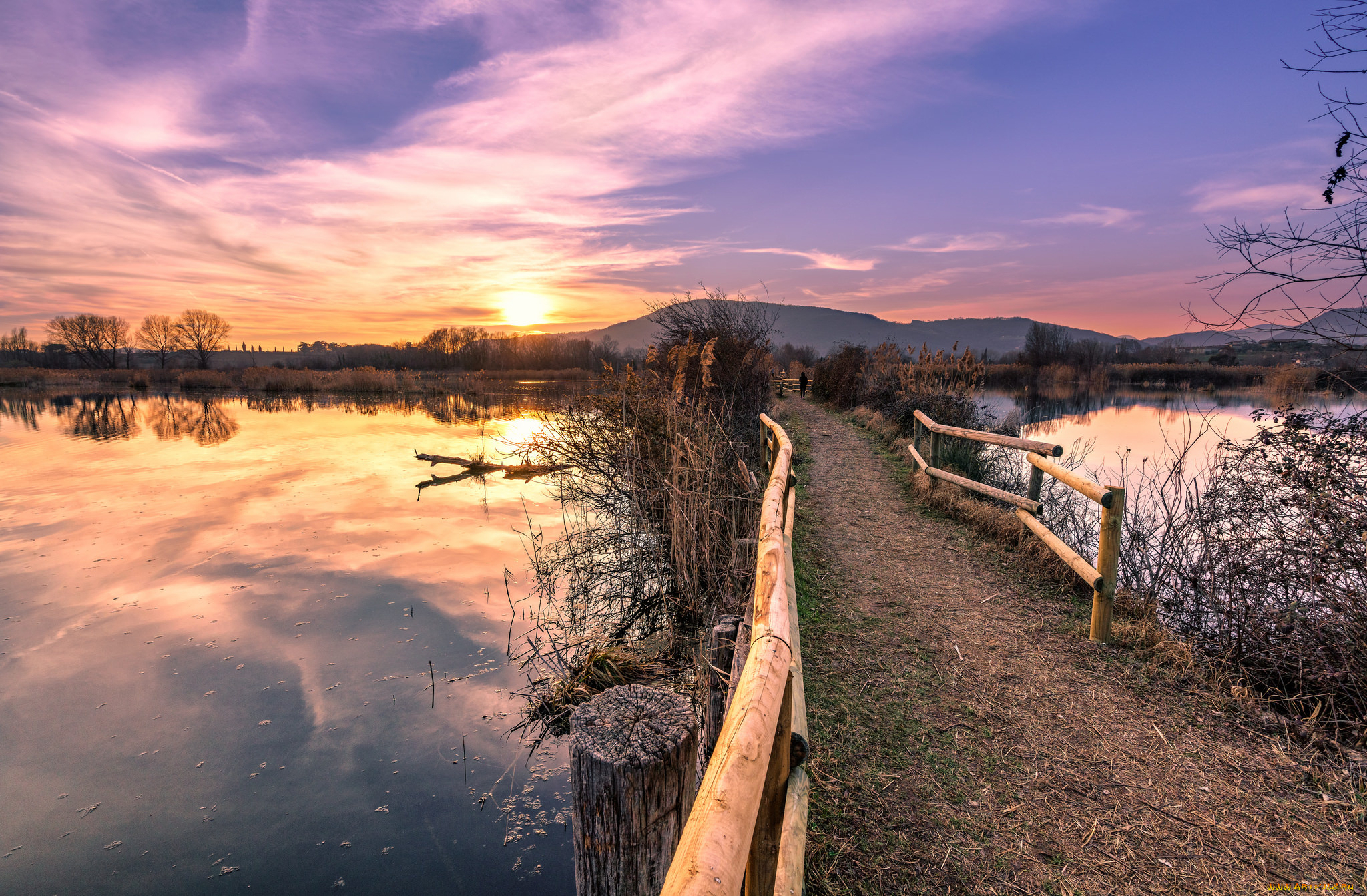 природа, реки, озера, река, лес