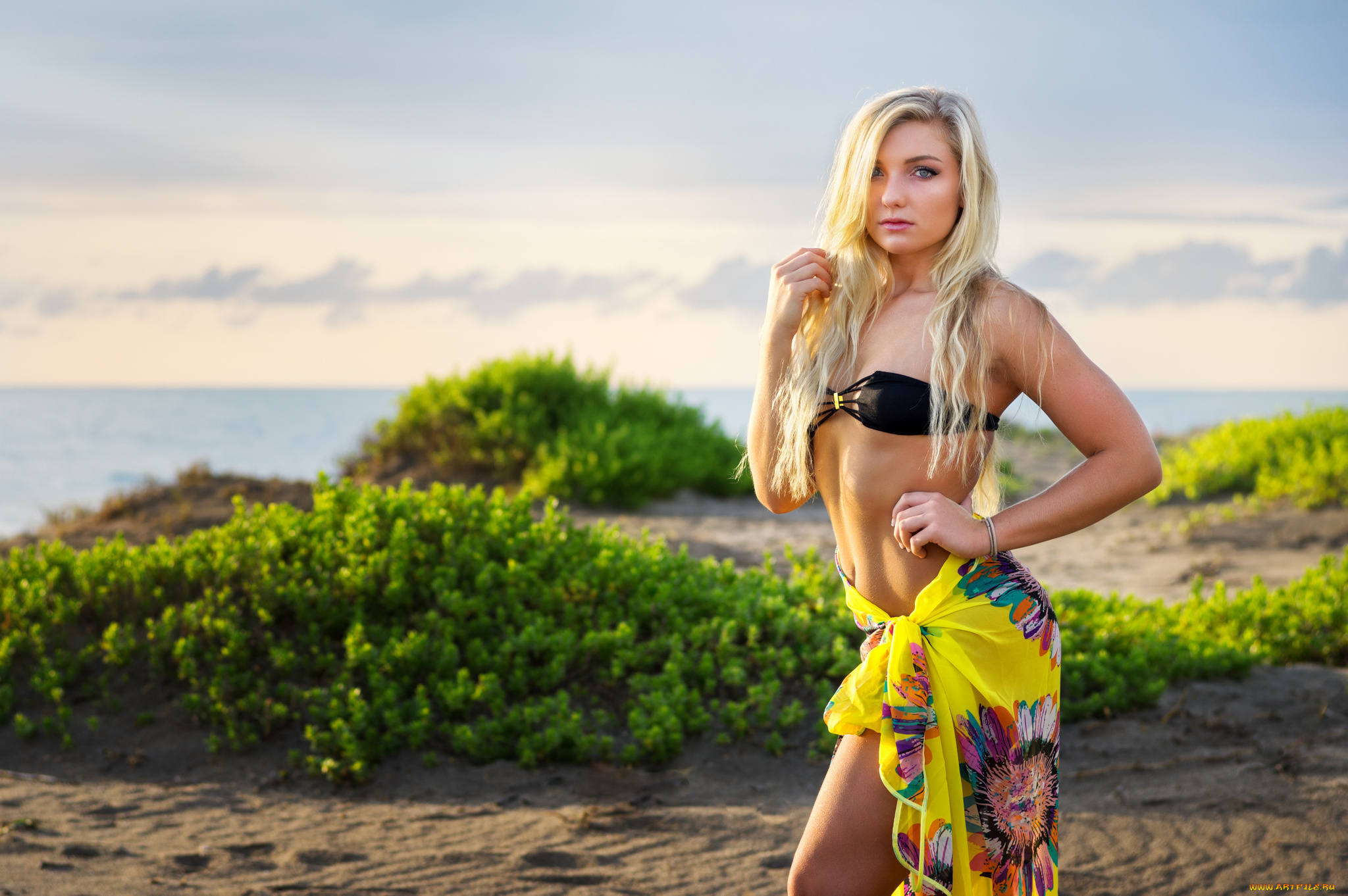 девушки, -unsort, , блондинки, лицо, взгляд