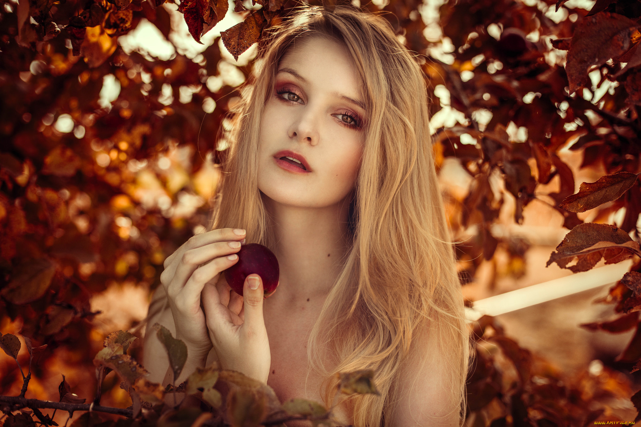 девушки, -unsort, , лица, , портреты, взгляд, лицо