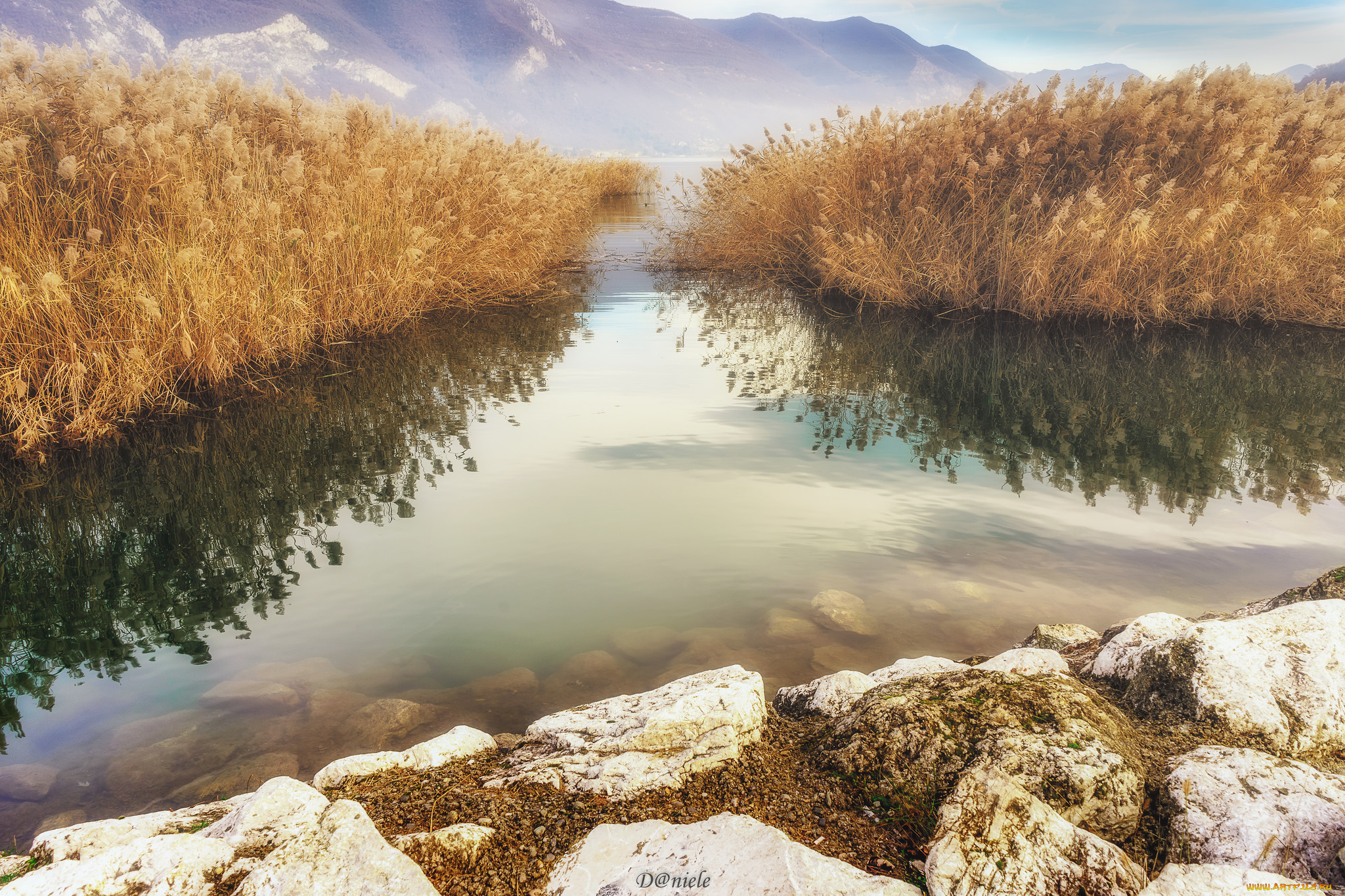 природа, реки, озера, лес, река