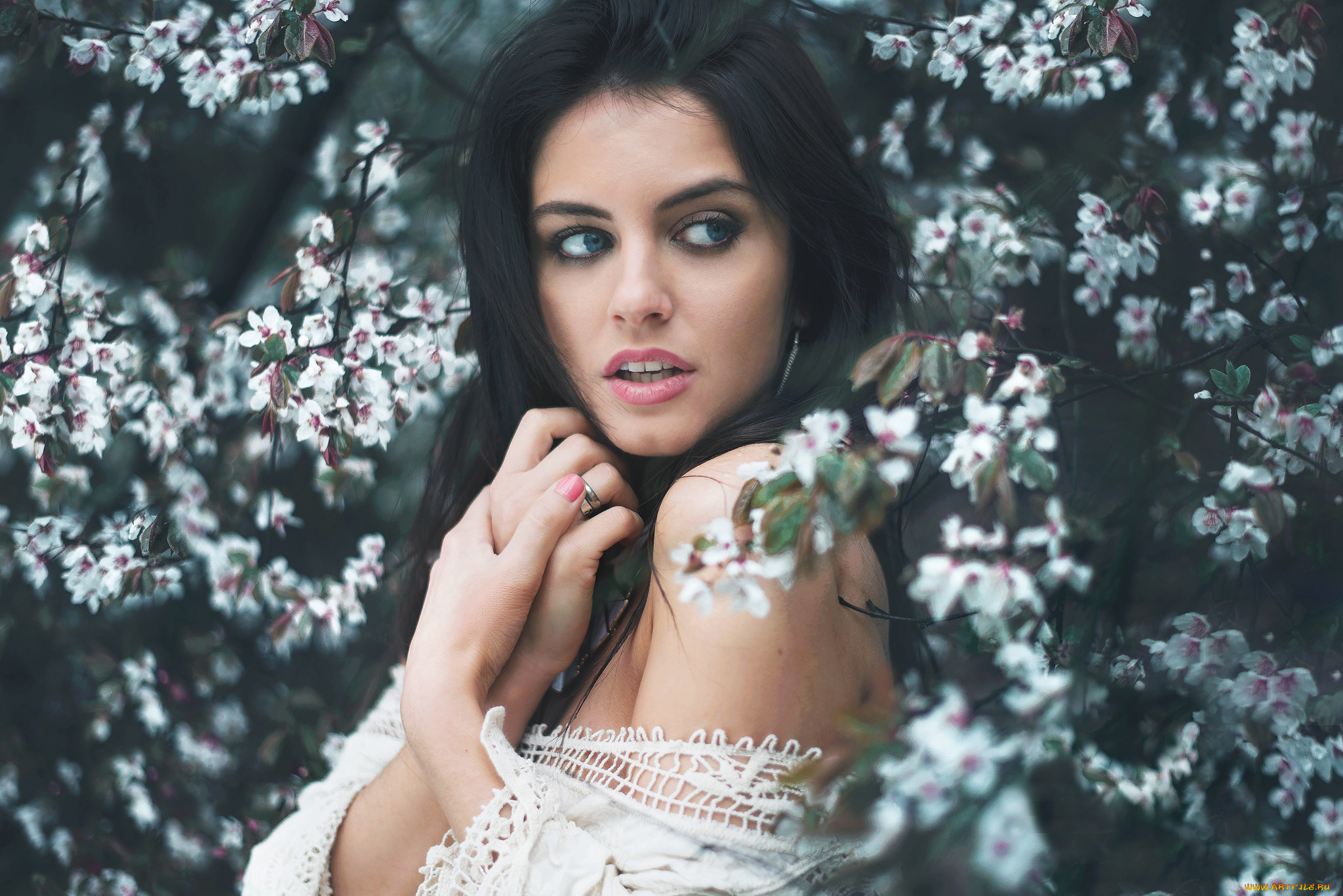 девушки, -unsort, , брюнетки, , шатенки, взгляд, лицо