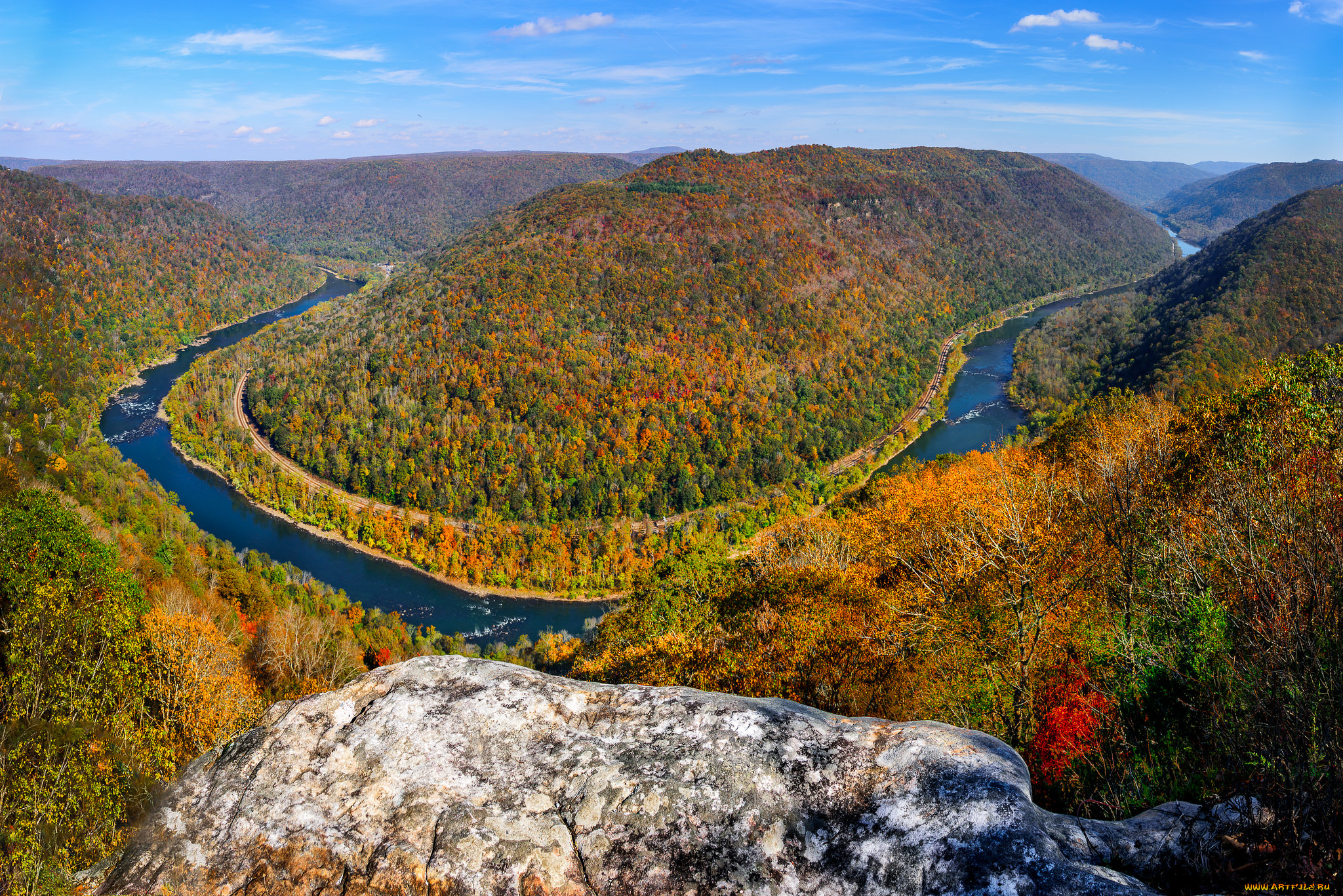 природа, реки, озера, лес, река