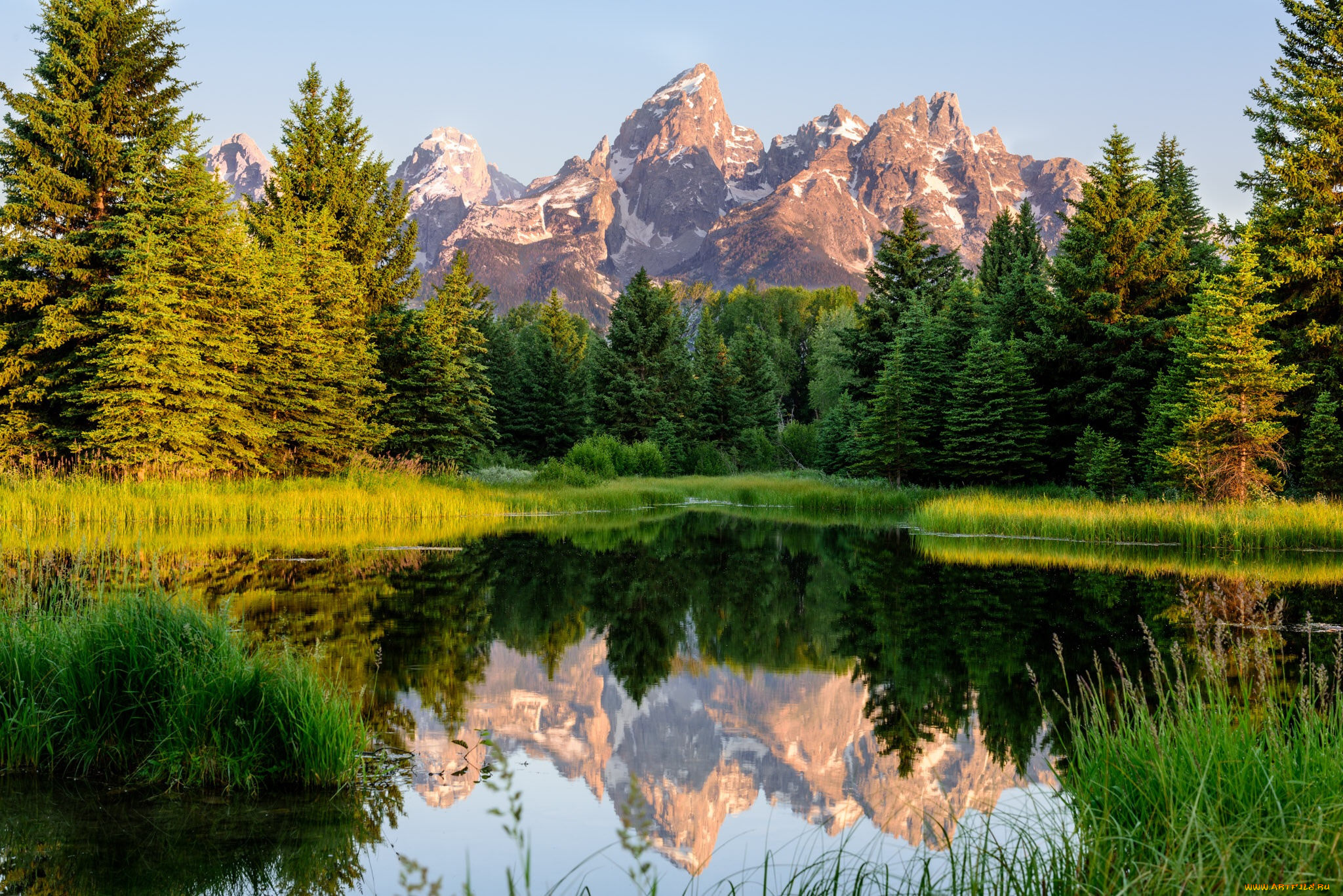 природа, реки, озера, река, лес, горы