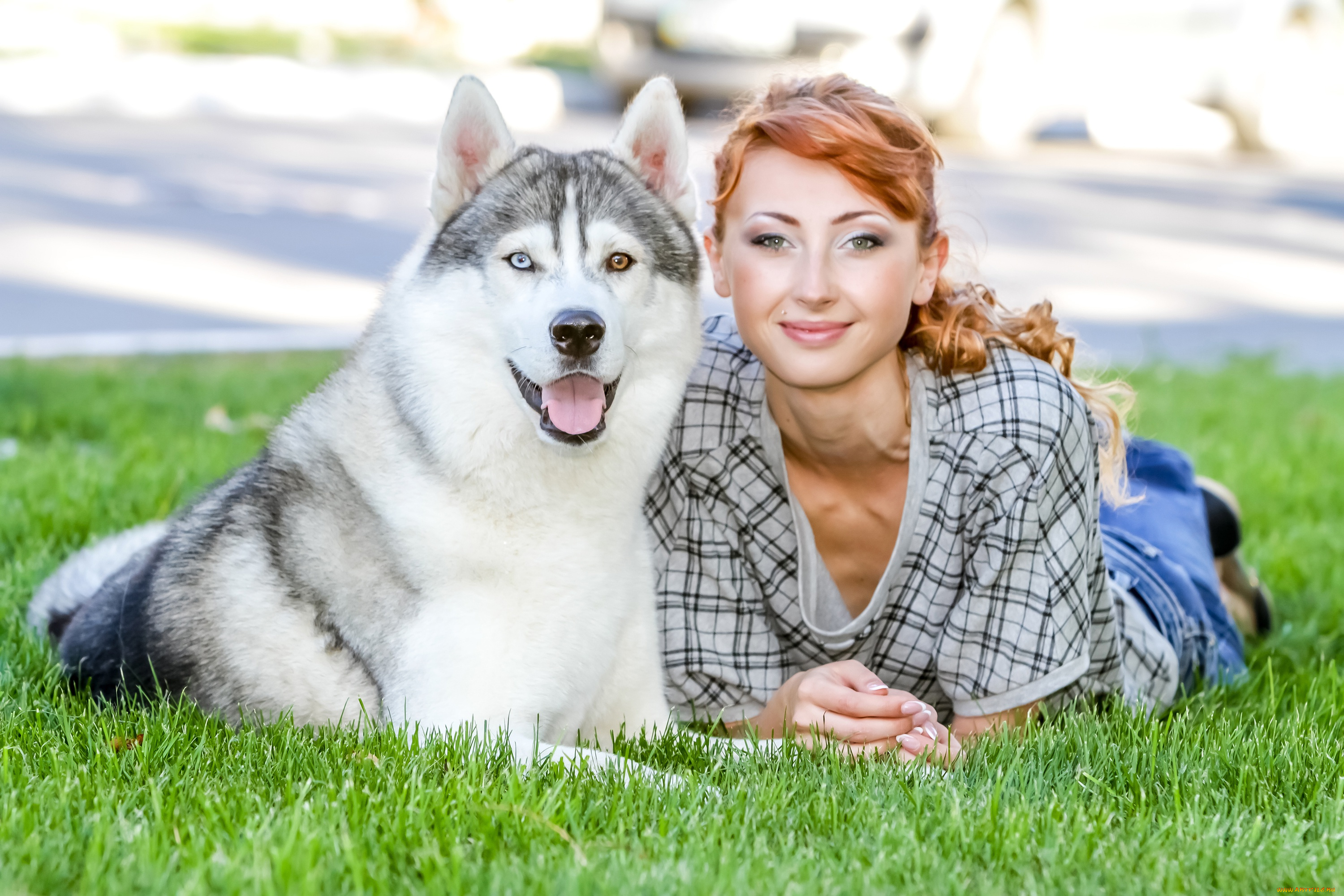 девушки, -unsort, , рыжеволосые, и, другие, рыжая, собака, лежат, на, траве, хаски, боке, зелень, газон, девушка