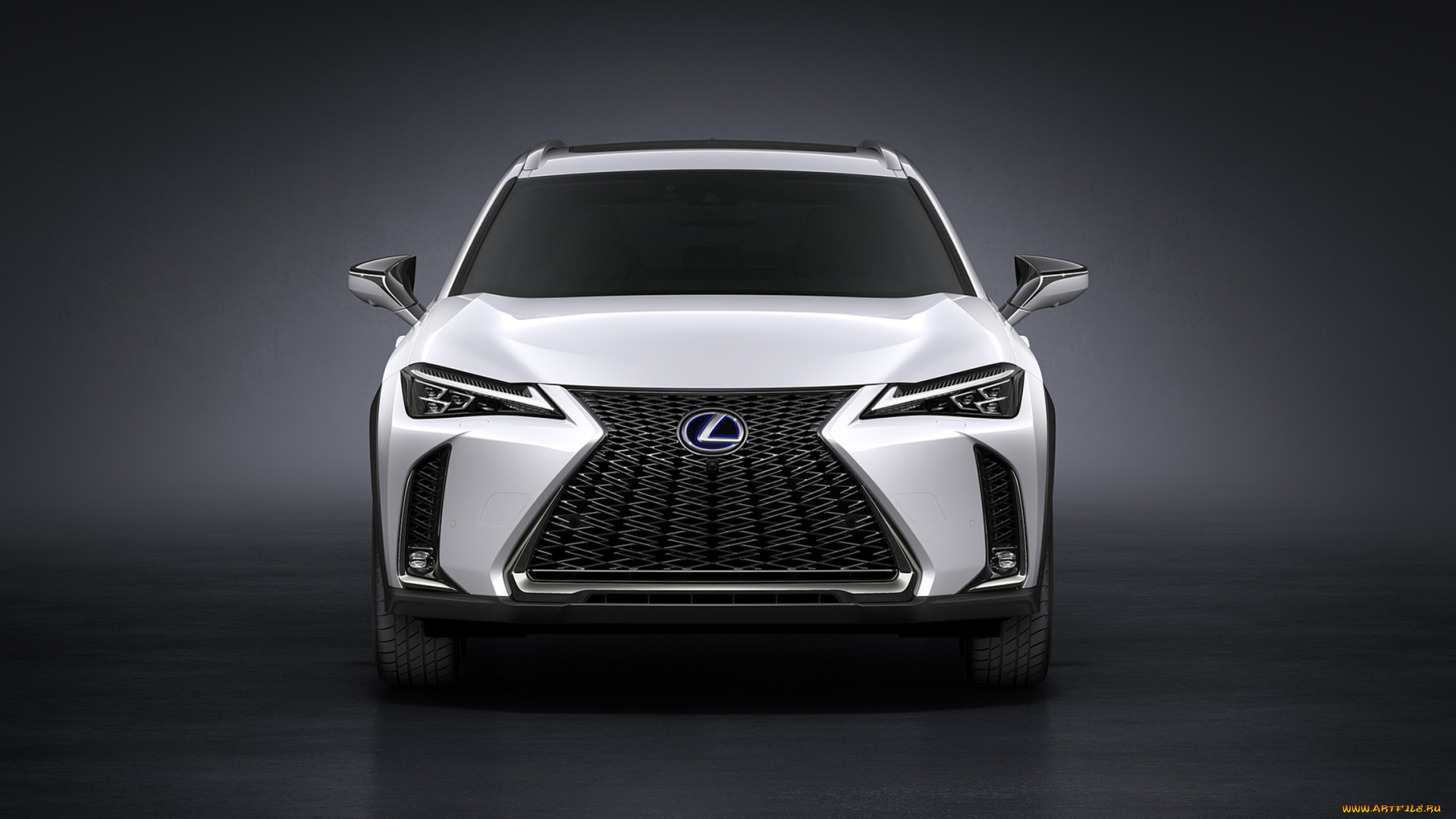 lexus, ux, f, sport, 2019, автомобили, lexus, sport, 2019, белый, f, ux