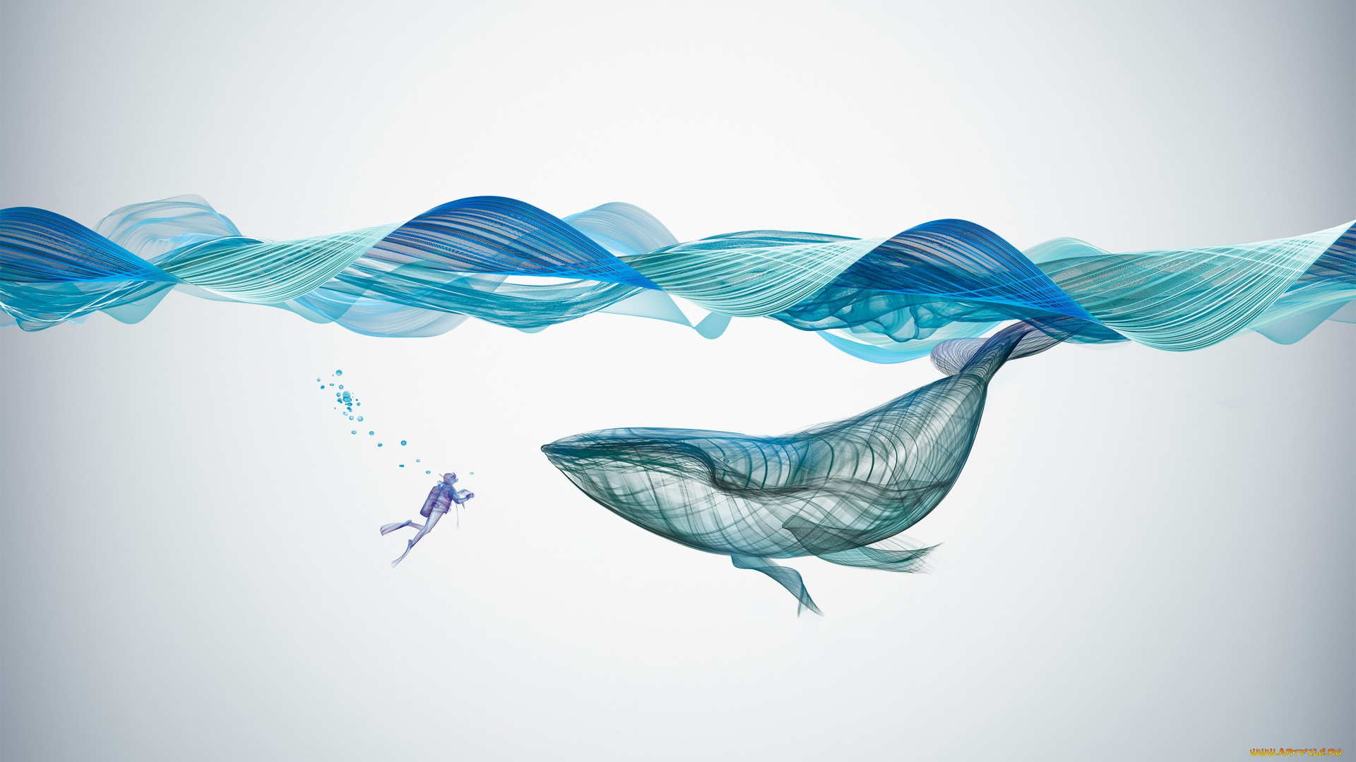 векторная, графика, животные, , animals, illustration, creative, graphics, underwater, whale