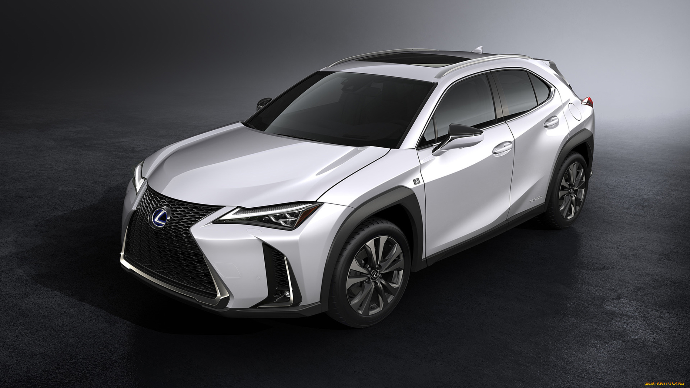 lexus, ux, f, sport, 2019, автомобили, lexus, f, ux, sport, 2019, белый